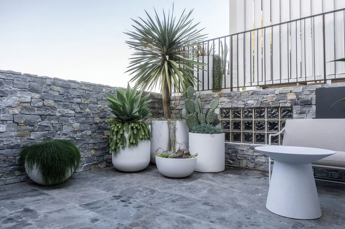 Landscape Design Bellevue Hill