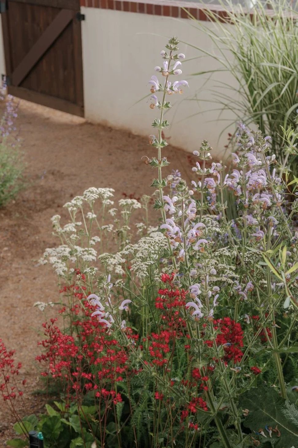imgi44StudioCampo-LowryGarden-Web-15.jpg