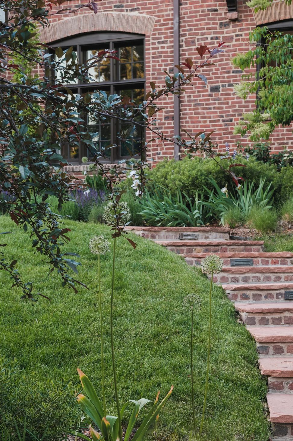 imgi56StudioCampo-HawthornHouse-DanielJenkins-16-ap-compressed.jpg