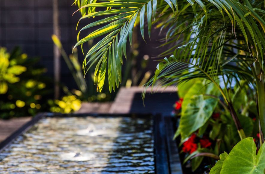 Courtyard Oasis, Hauraki