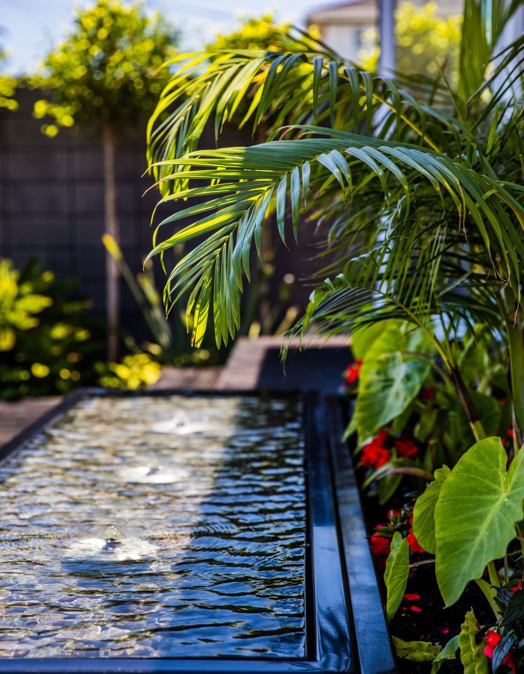 Courtyard Oasis, Hauraki