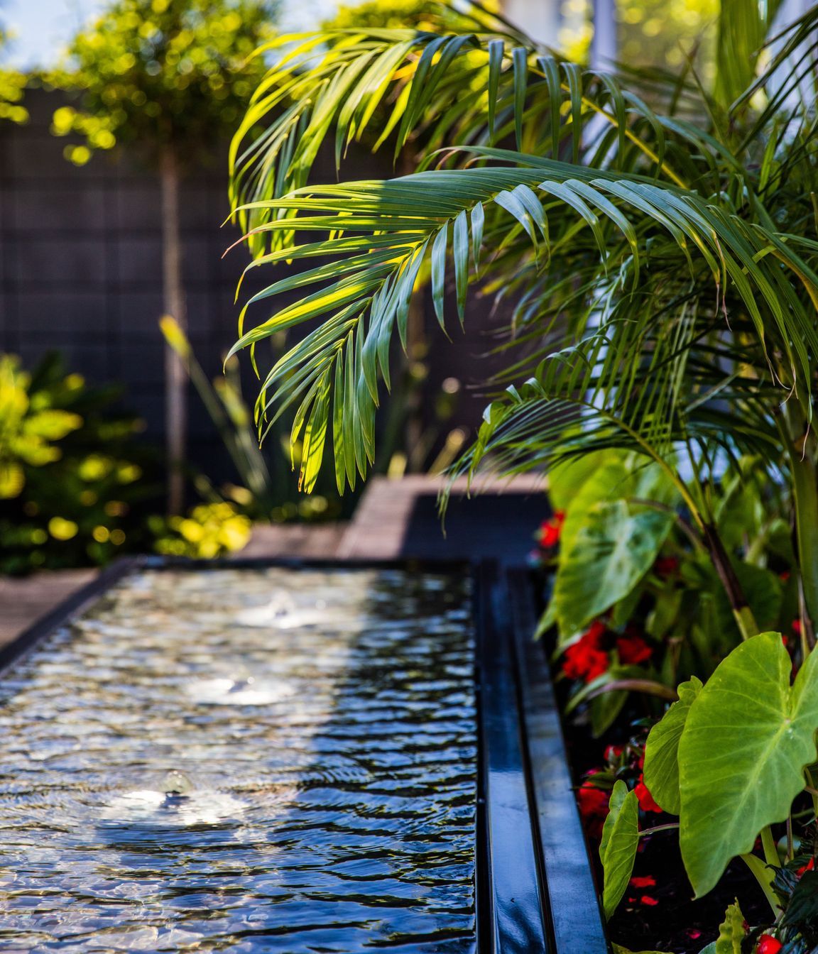 Courtyard Oasis, Hauraki