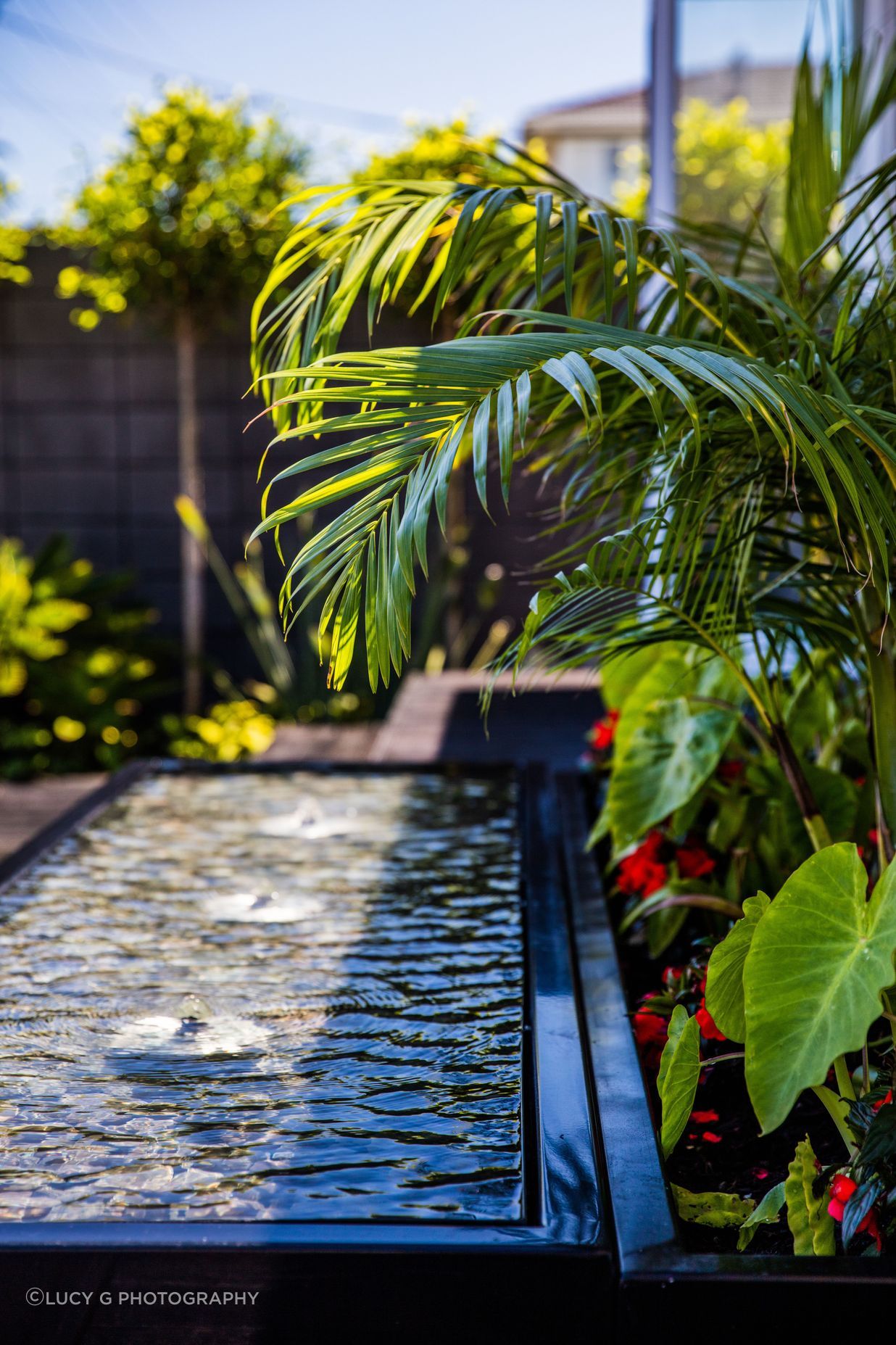 Courtyard Oasis, Hauraki