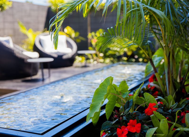 Courtyard Oasis, Hauraki