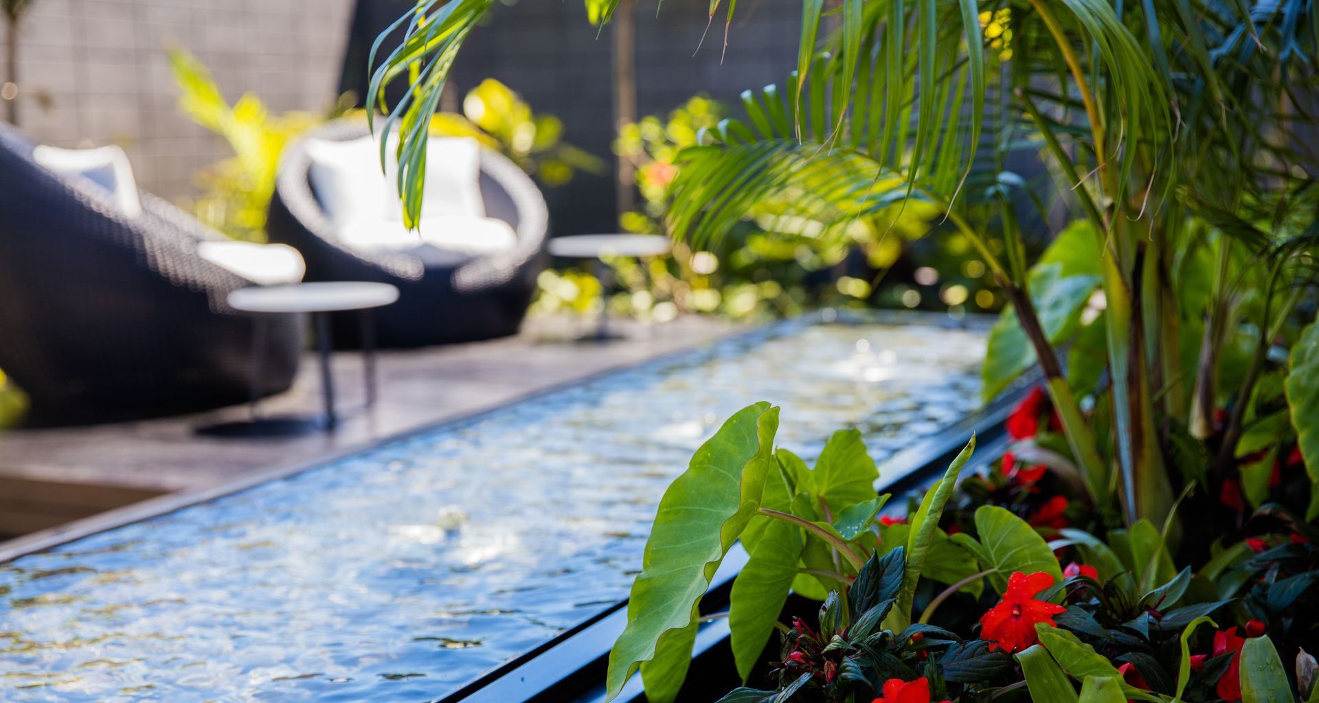 Courtyard Oasis, Hauraki banner