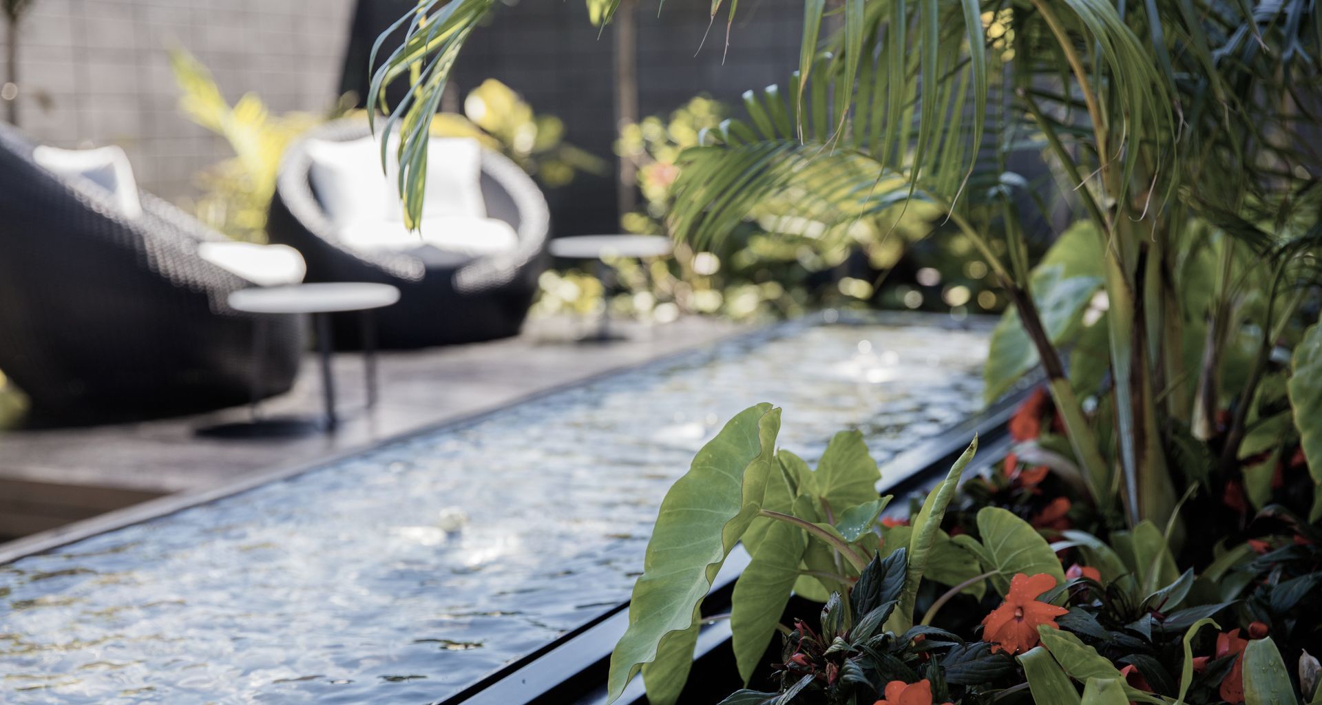 Courtyard Oasis, Hauraki banner