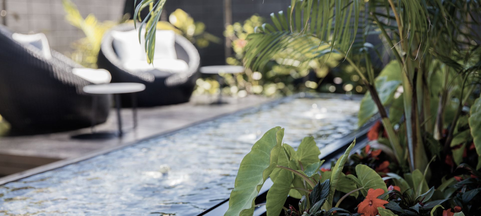 Courtyard Oasis, Hauraki banner