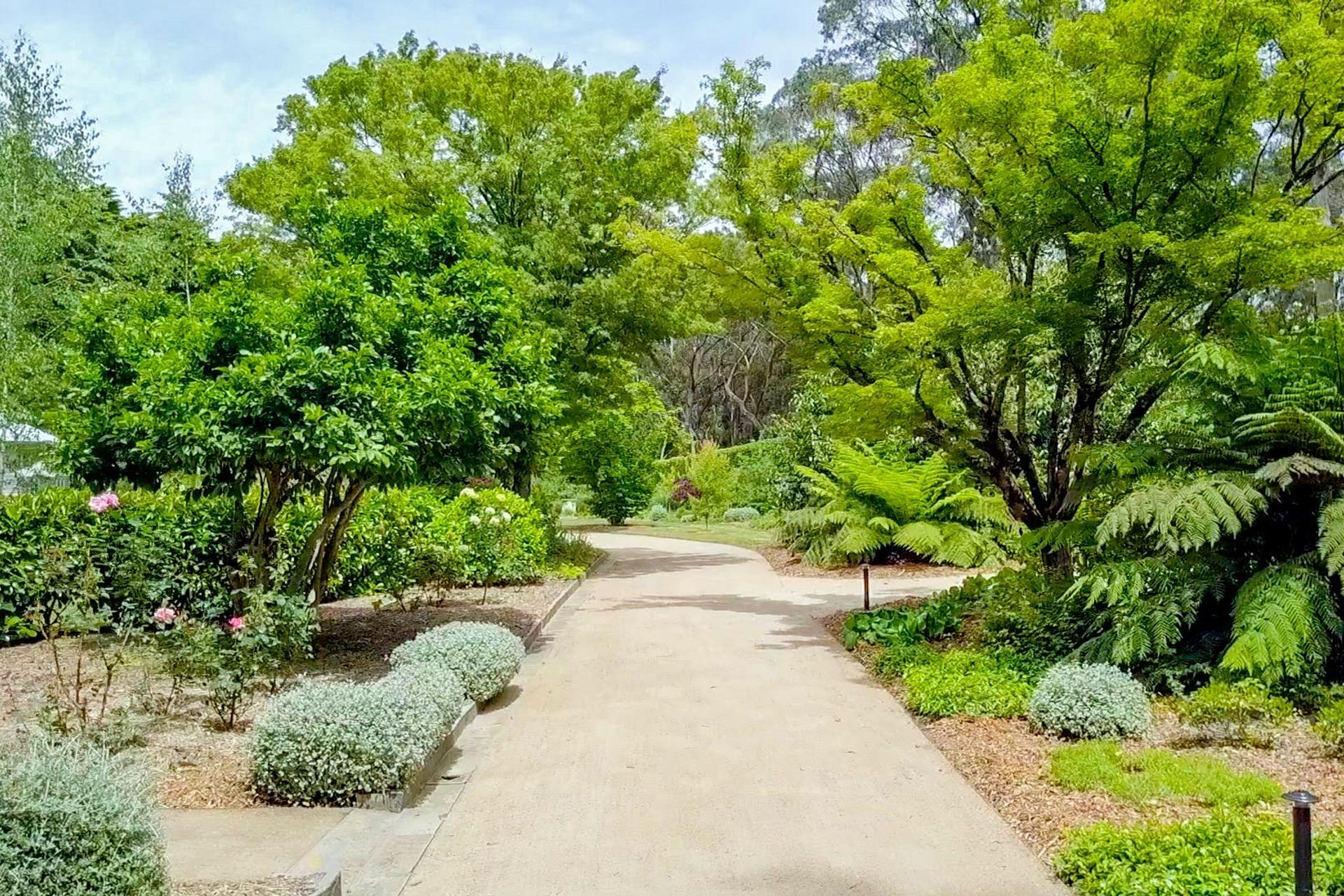 Blue Mountains Elegance