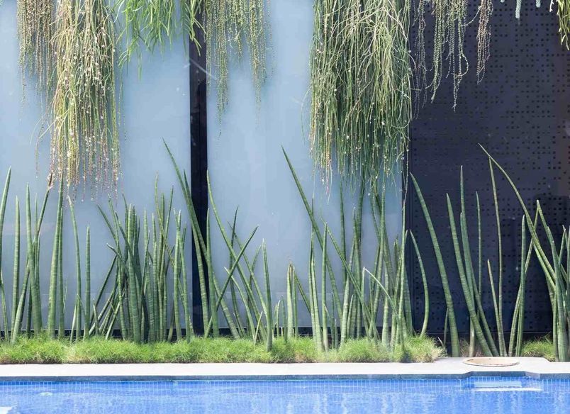 Leichhardt Poolside
