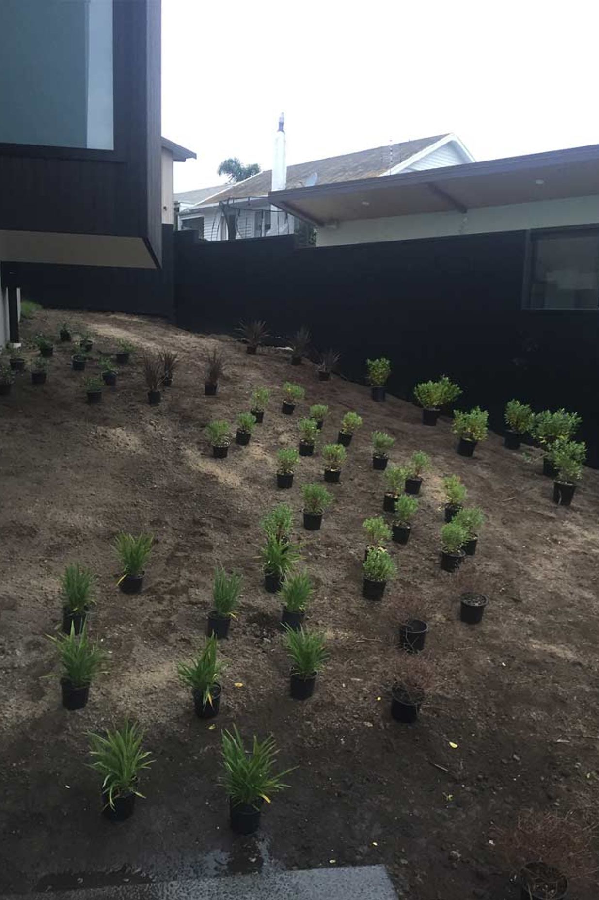 Native Planting Theme