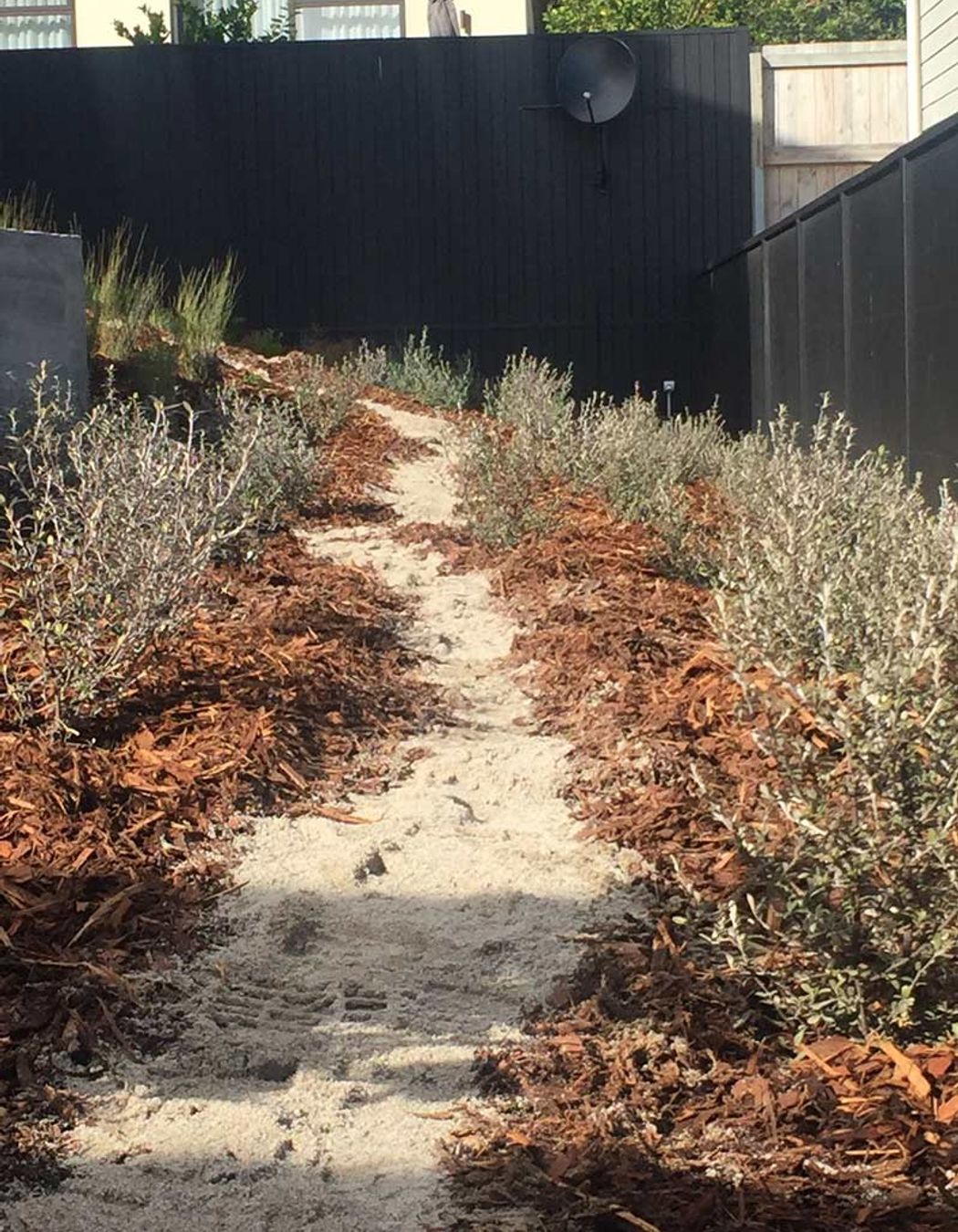 Native Planting Theme