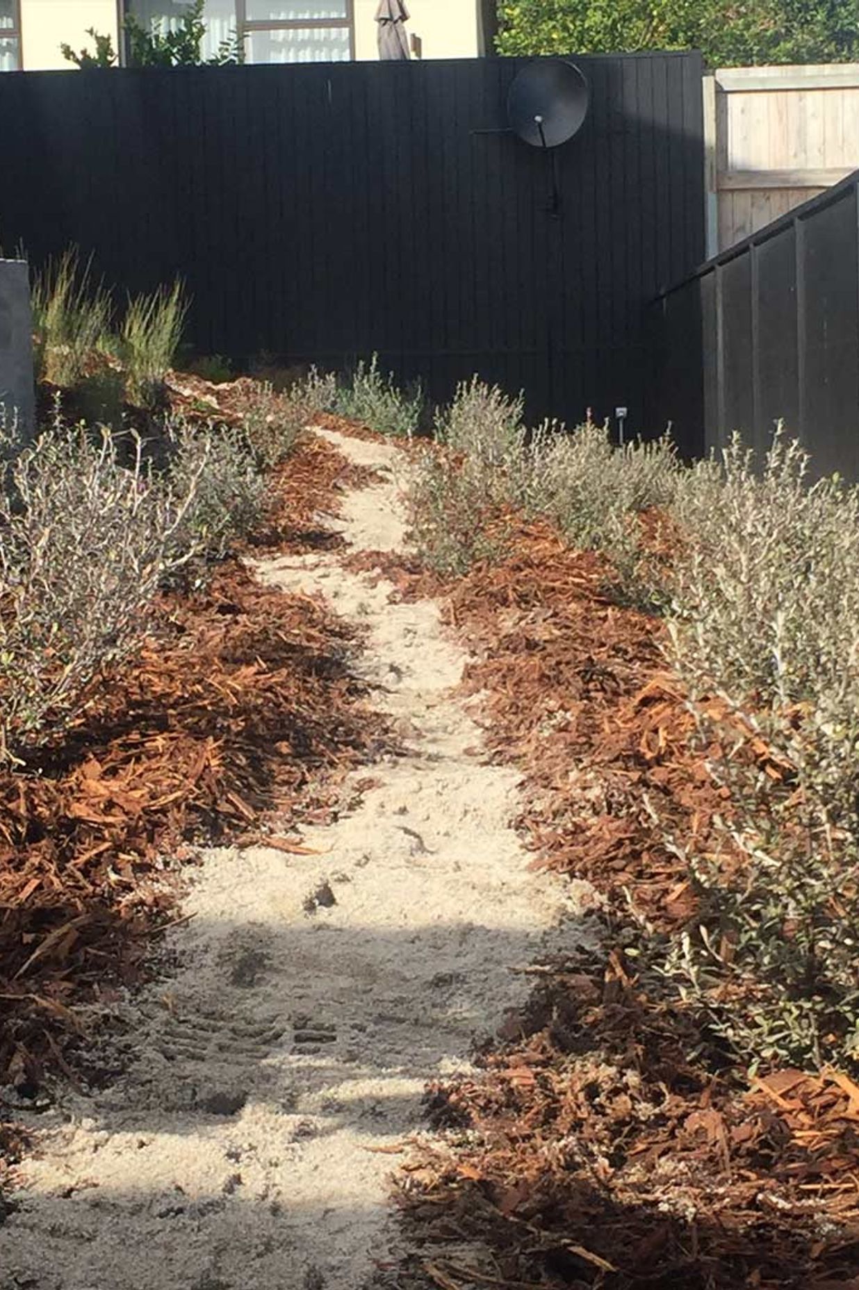 Native Planting Theme