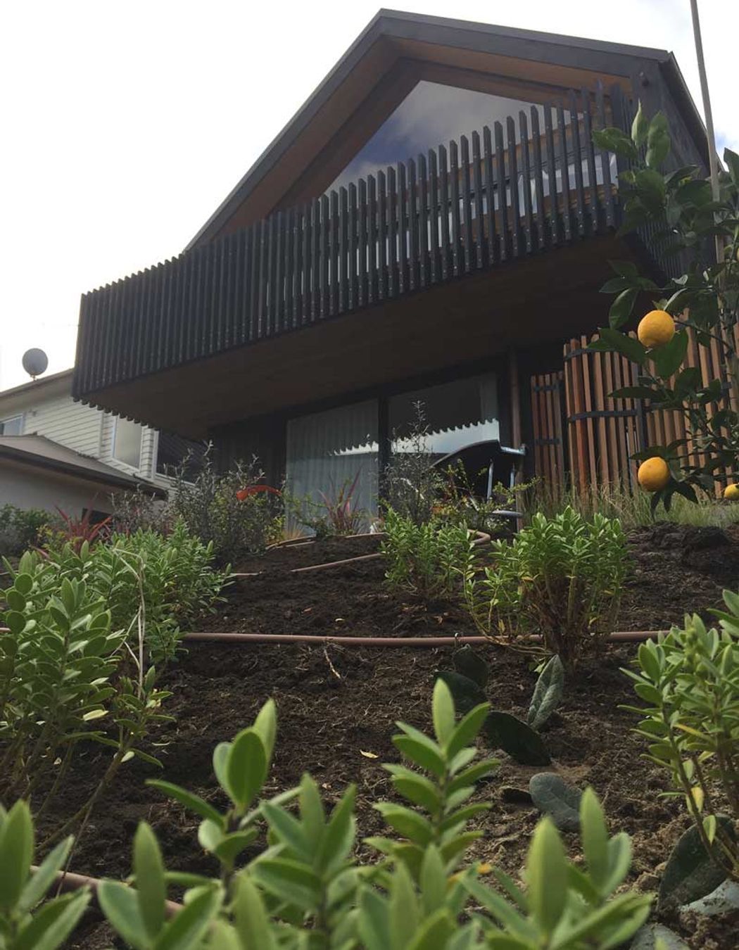 Soft Landscaping Design