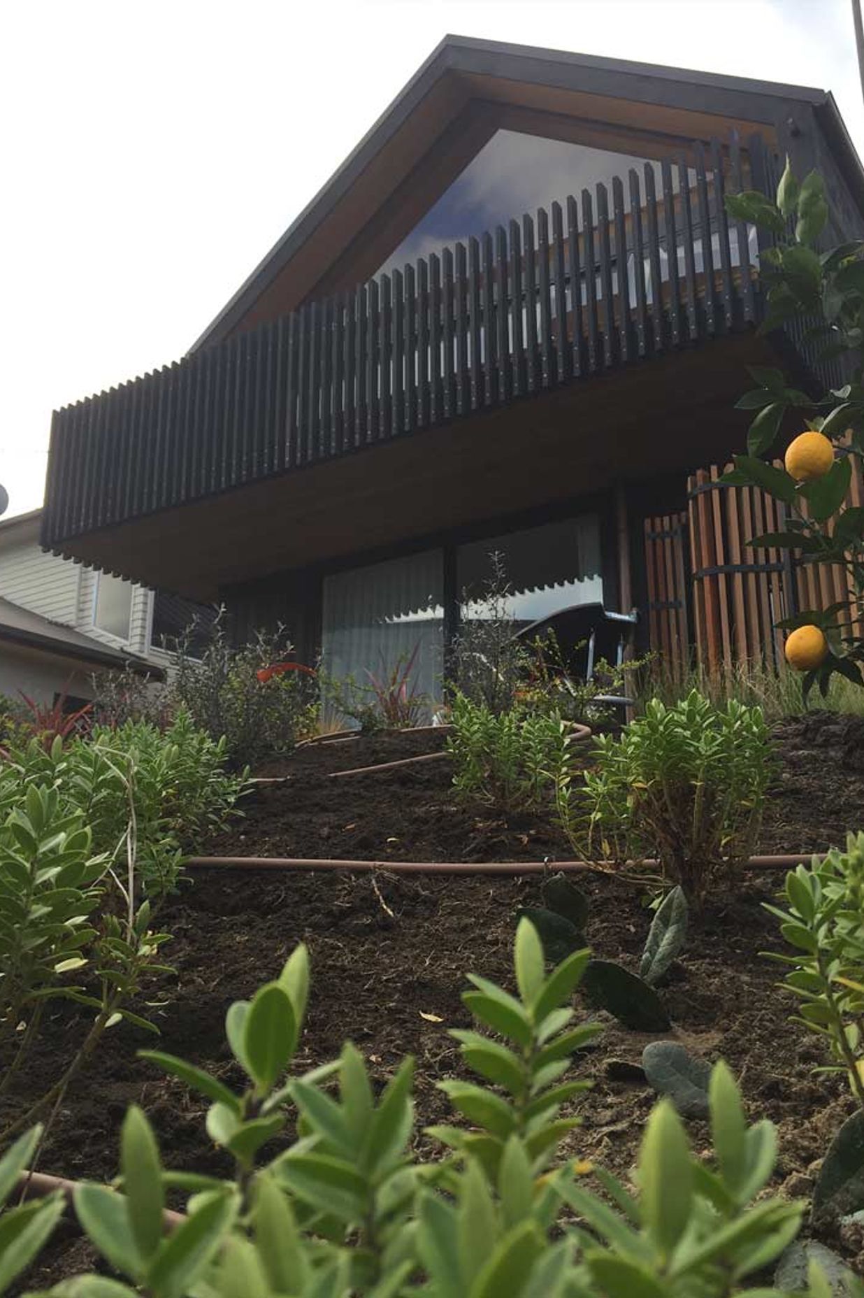 Soft Landscaping Design