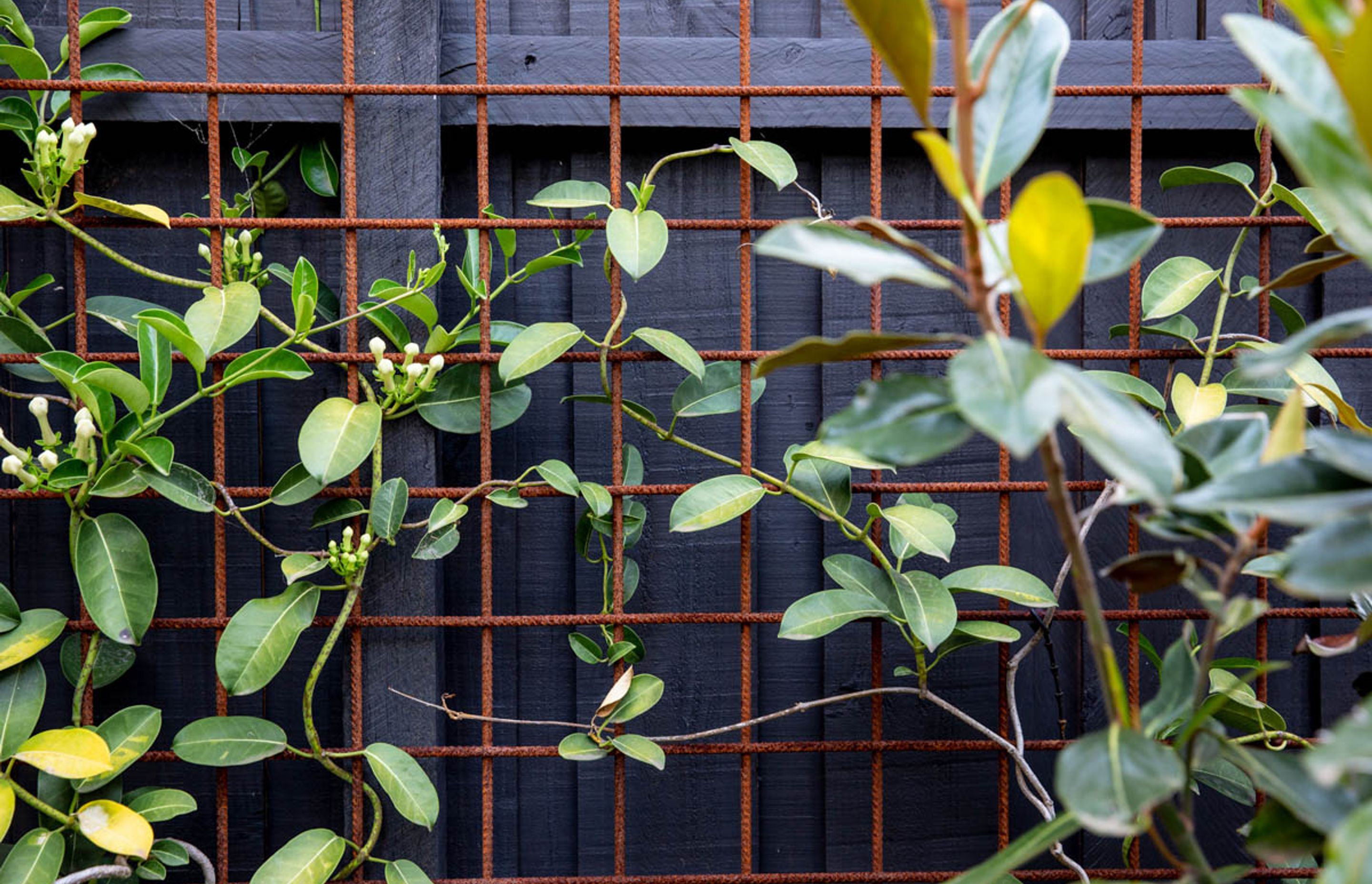 ##^^Northcote 01