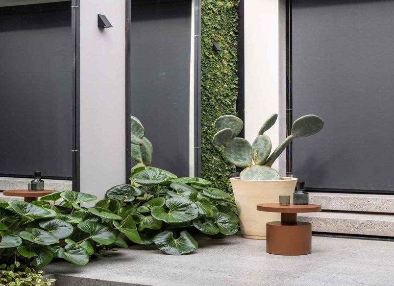 Paddington Courtyard