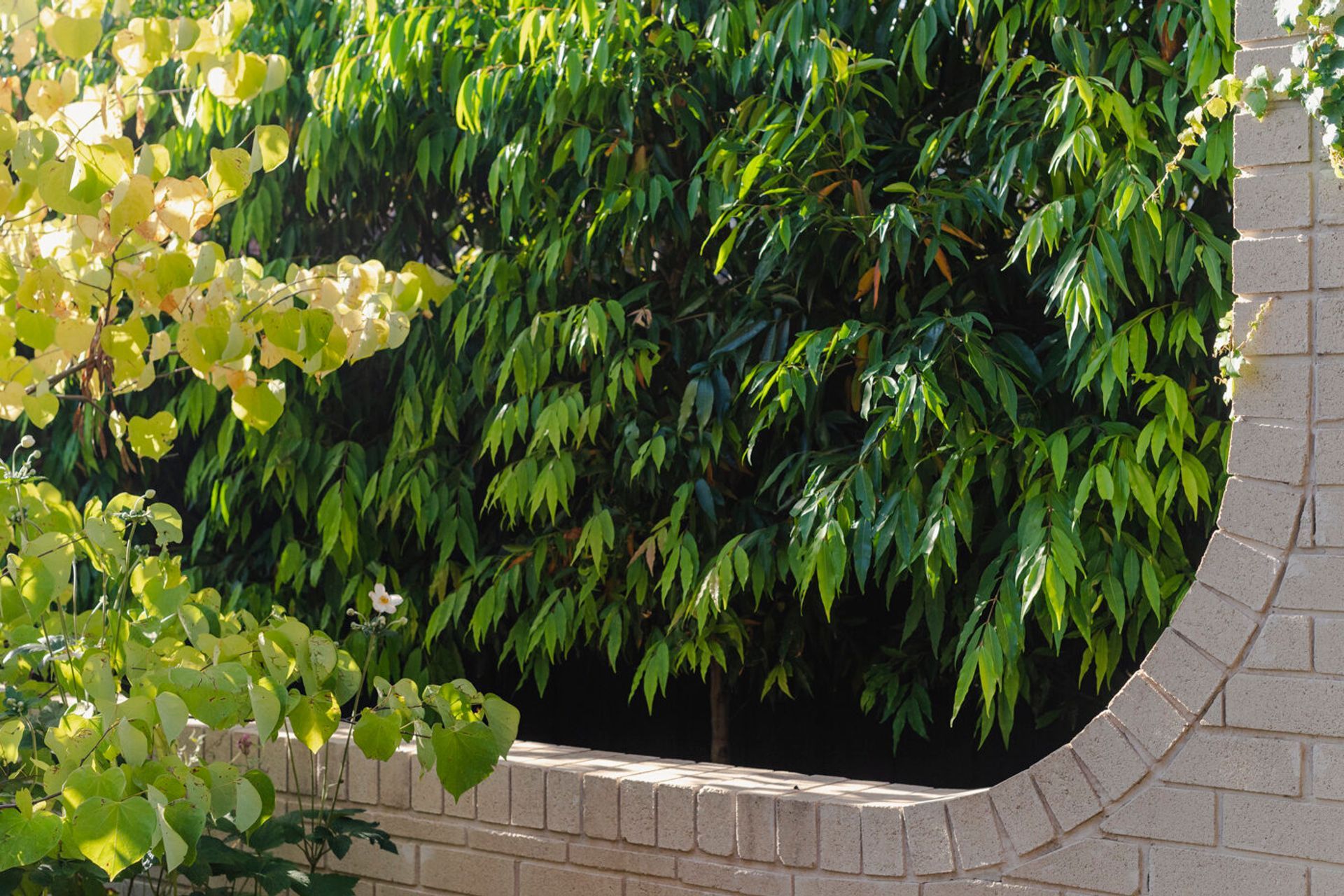  Sharp Street, Northcote