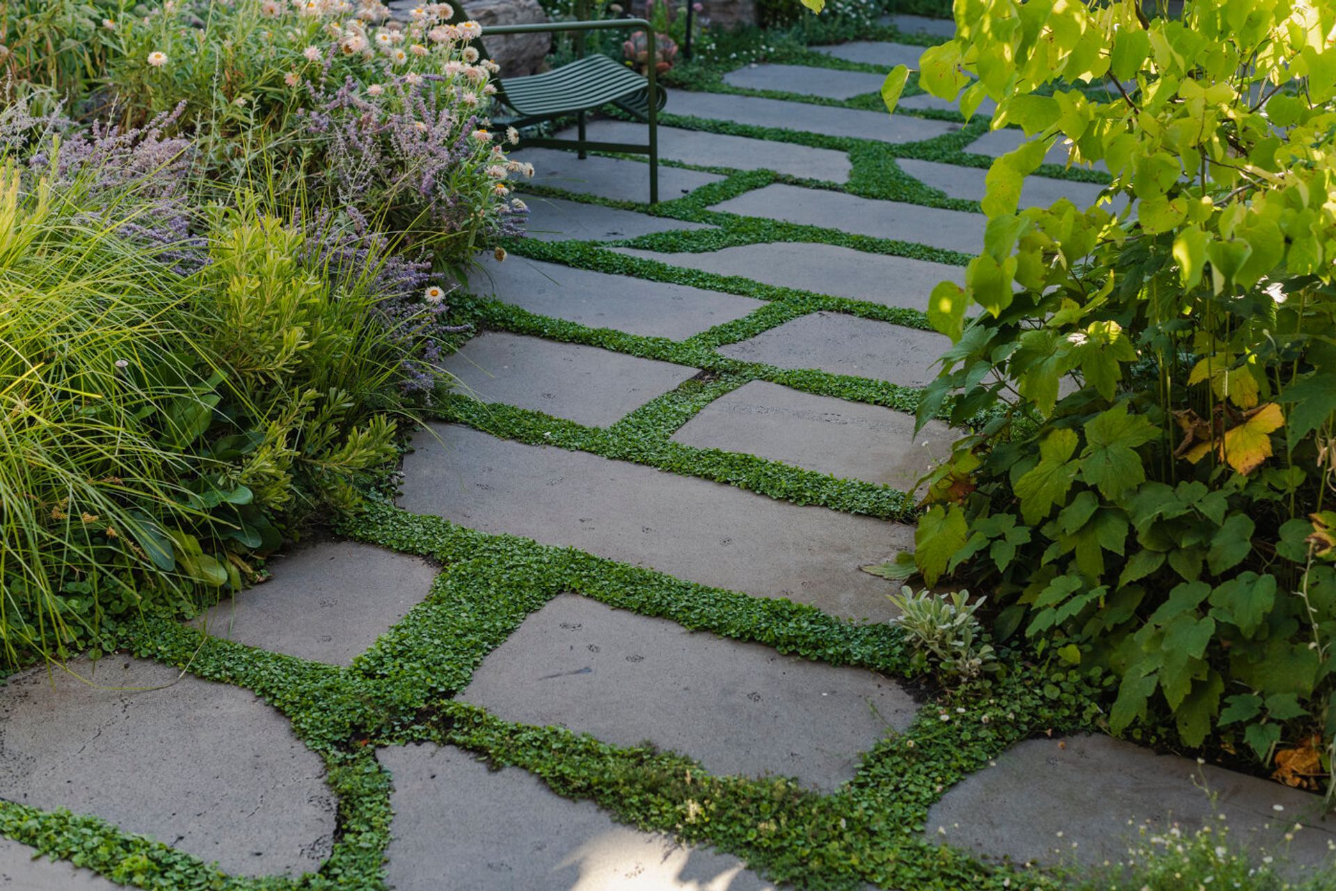  Sharp Street, Northcote