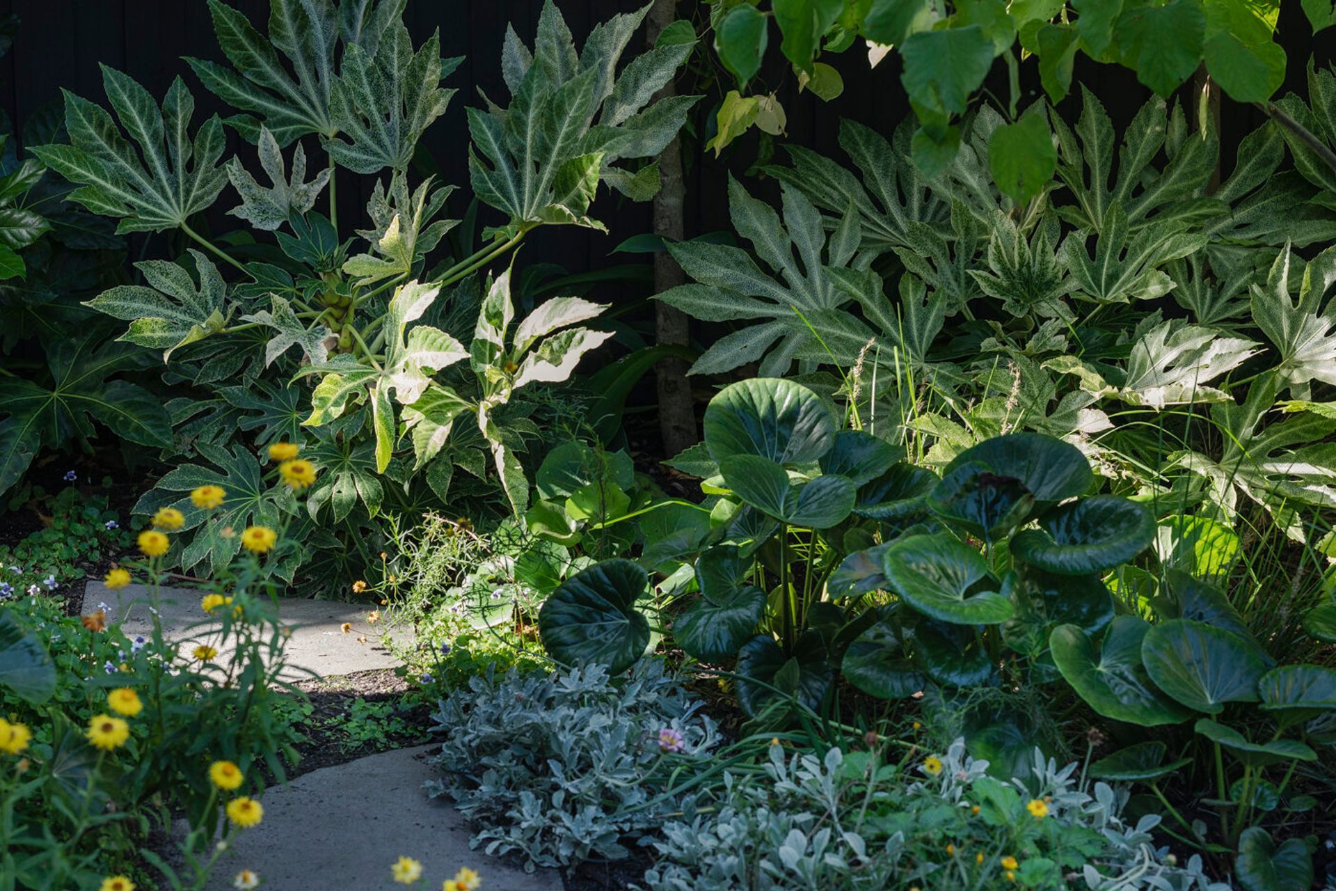  Sharp Street, Northcote