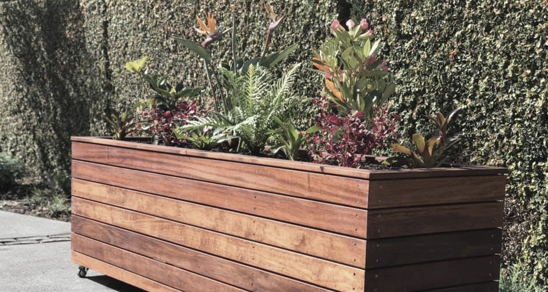 Planter Boxes banner