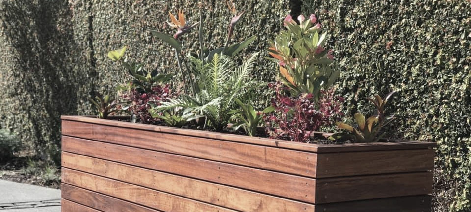 Planter Boxes banner