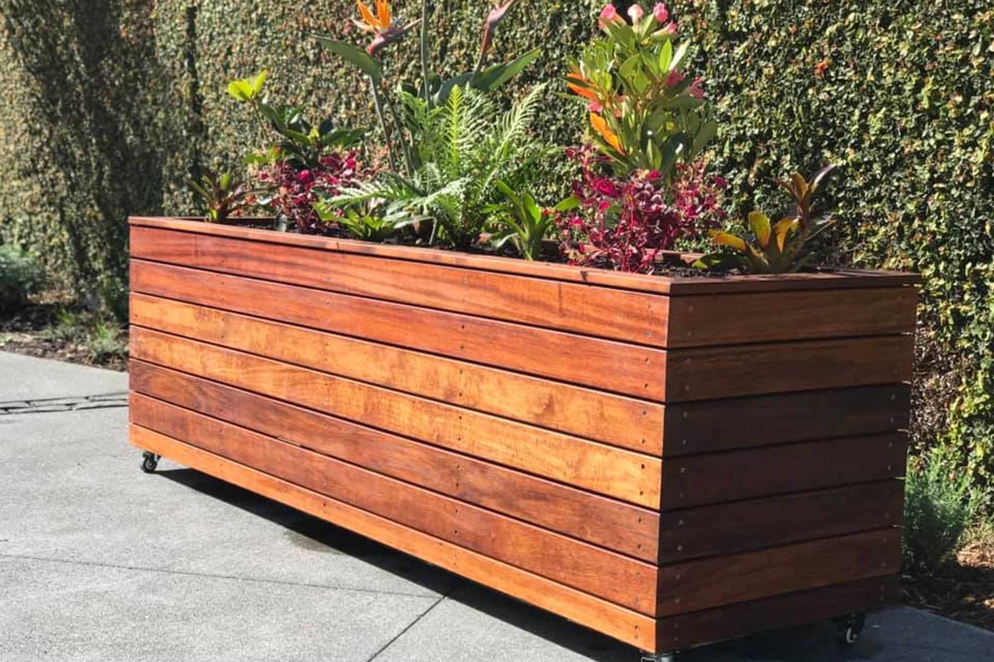 Maui Box - inspired by the Hawaiin tropics. This box is constructed with kwila hardwood and oiled to prevent excessive leaching and to bring out those dark natural colours. Its planted with tropical plants, bringing a relaxed summer vibe to your space.