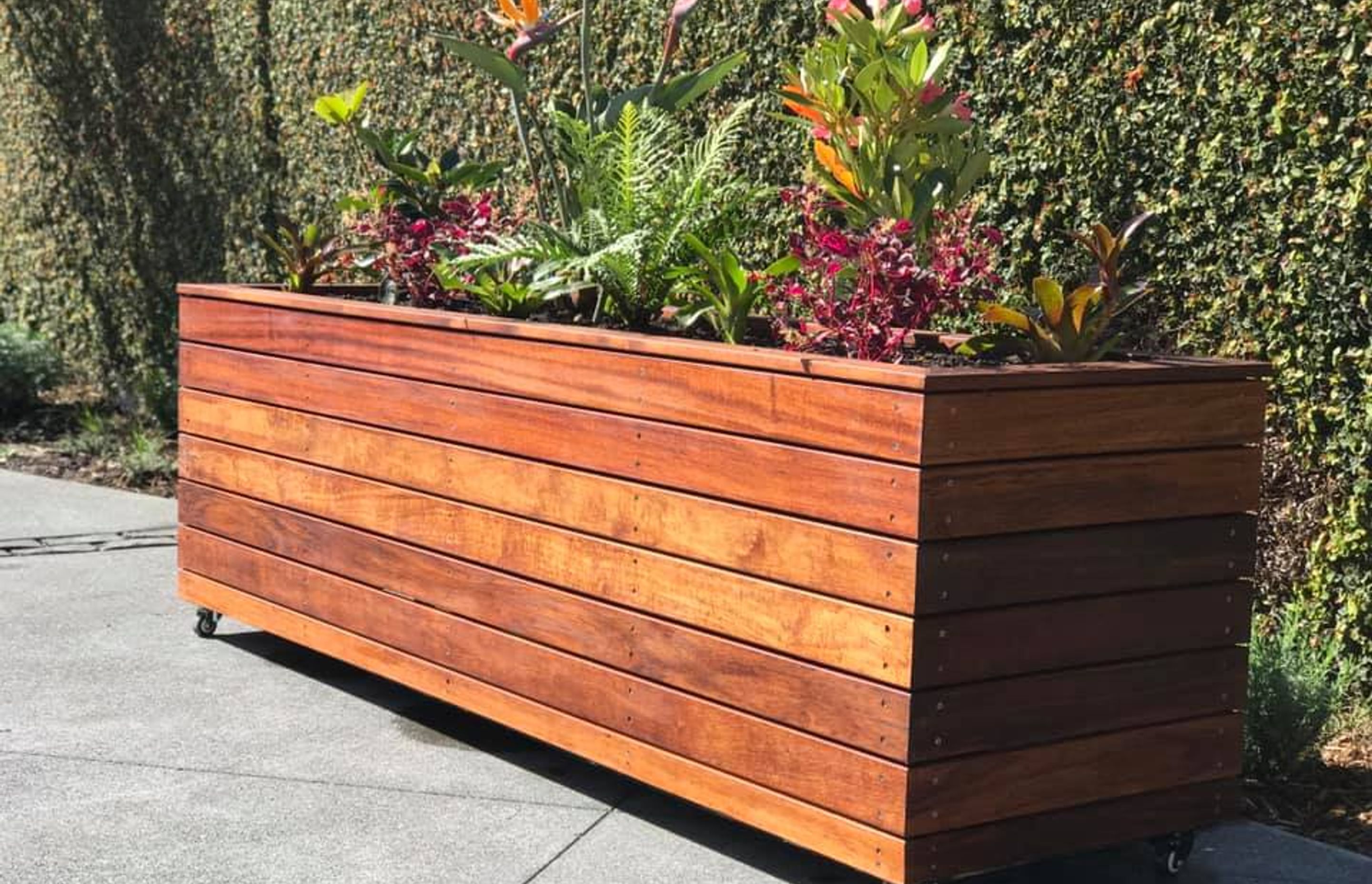 Maui Box - inspired by the Hawaiin tropics. This box is constructed with kwila hardwood and oiled to prevent excessive leaching and to bring out those dark natural colours. Its planted with tropical plants, bringing a relaxed summer vibe to your space.