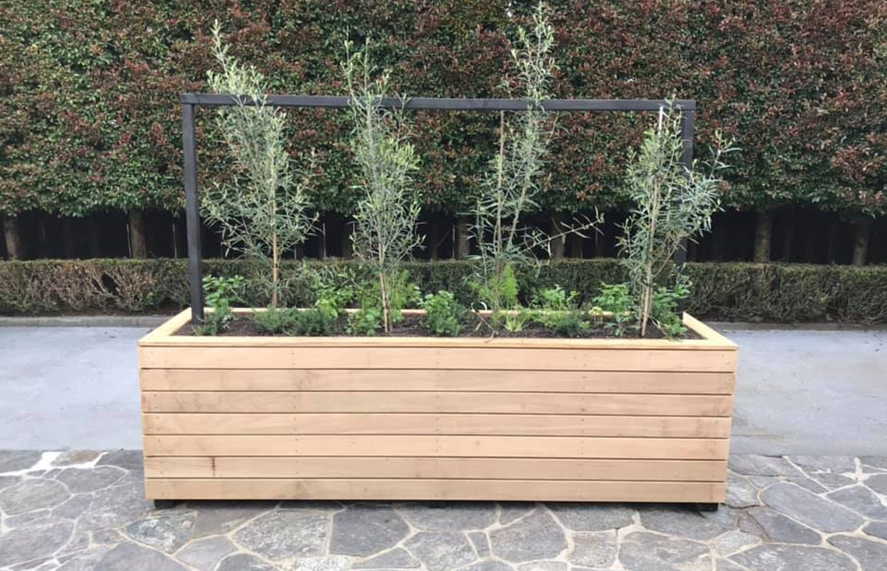 Almafi Box - inspired by the Italian Almafi coast, this box is constructed using vitex hardwood, left to weather. it is planted with mediterranean edibles providing a classic med vibe.