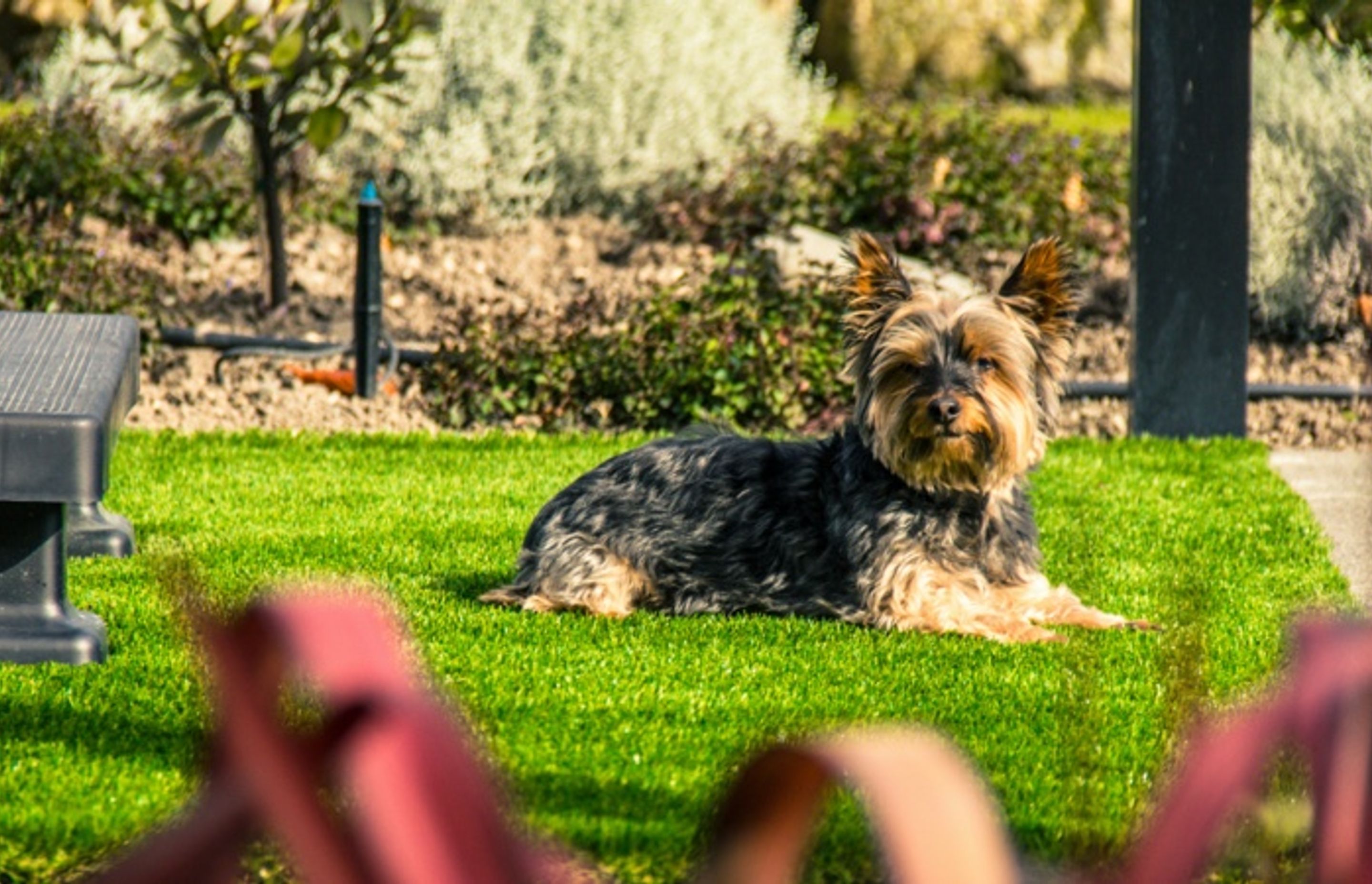 Spa Surround Artificial Lawn