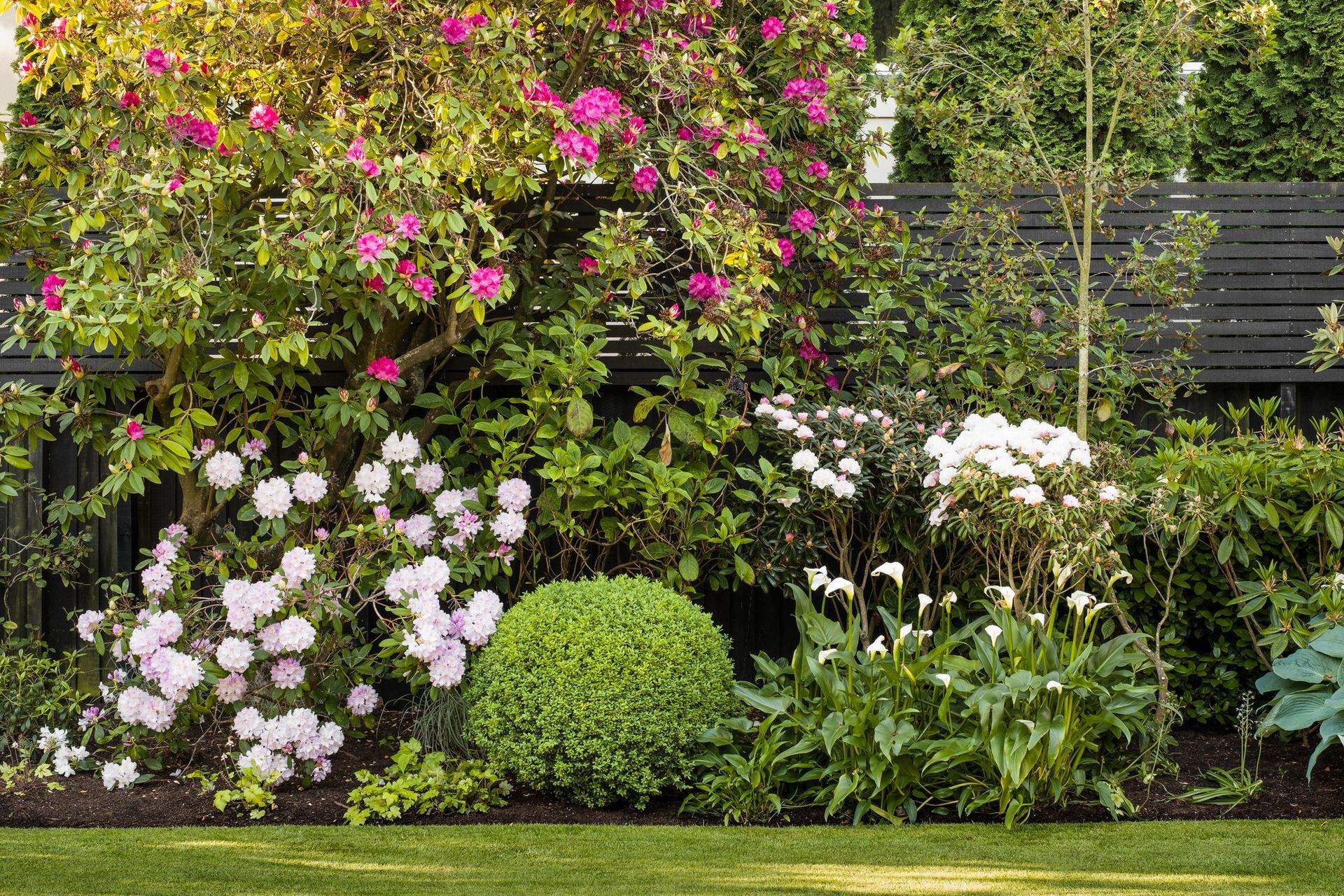 Helmores Lane, Christchurch