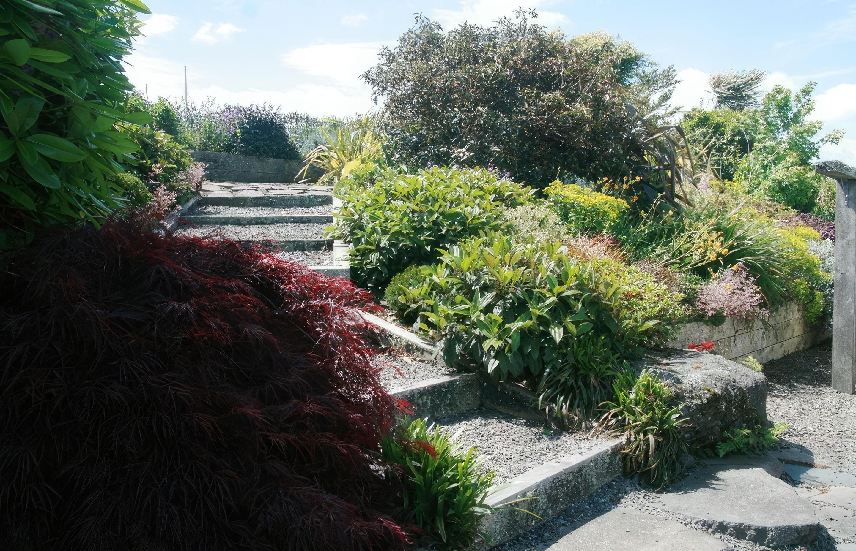 rotorua-landscaping3-gigapixel-standard-scale-400x.jpg