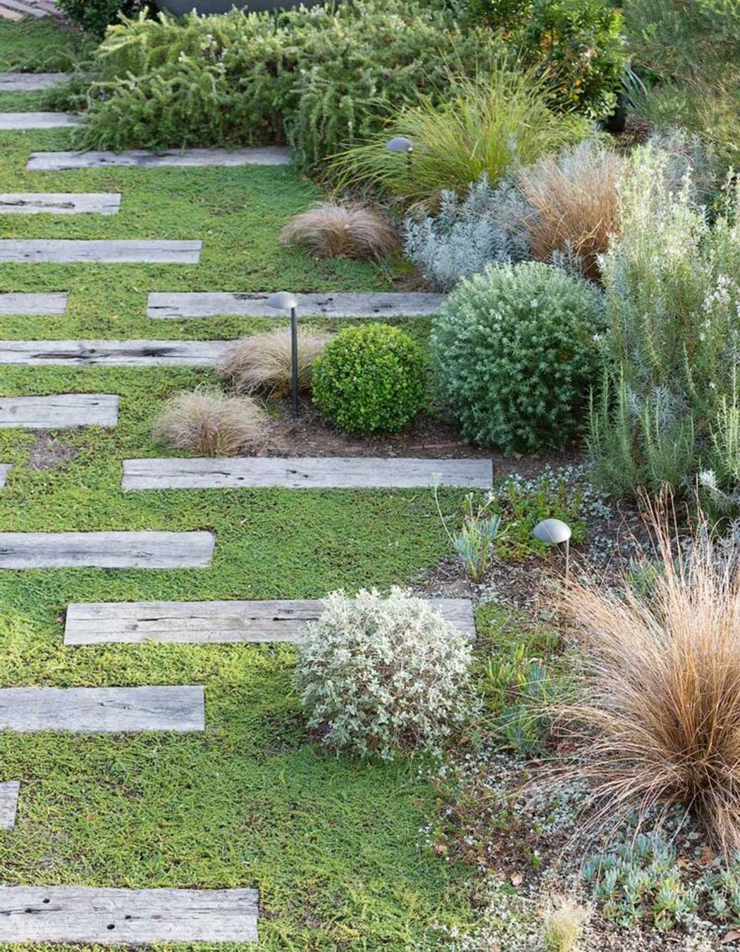 Rozelle - Rooftop Garden