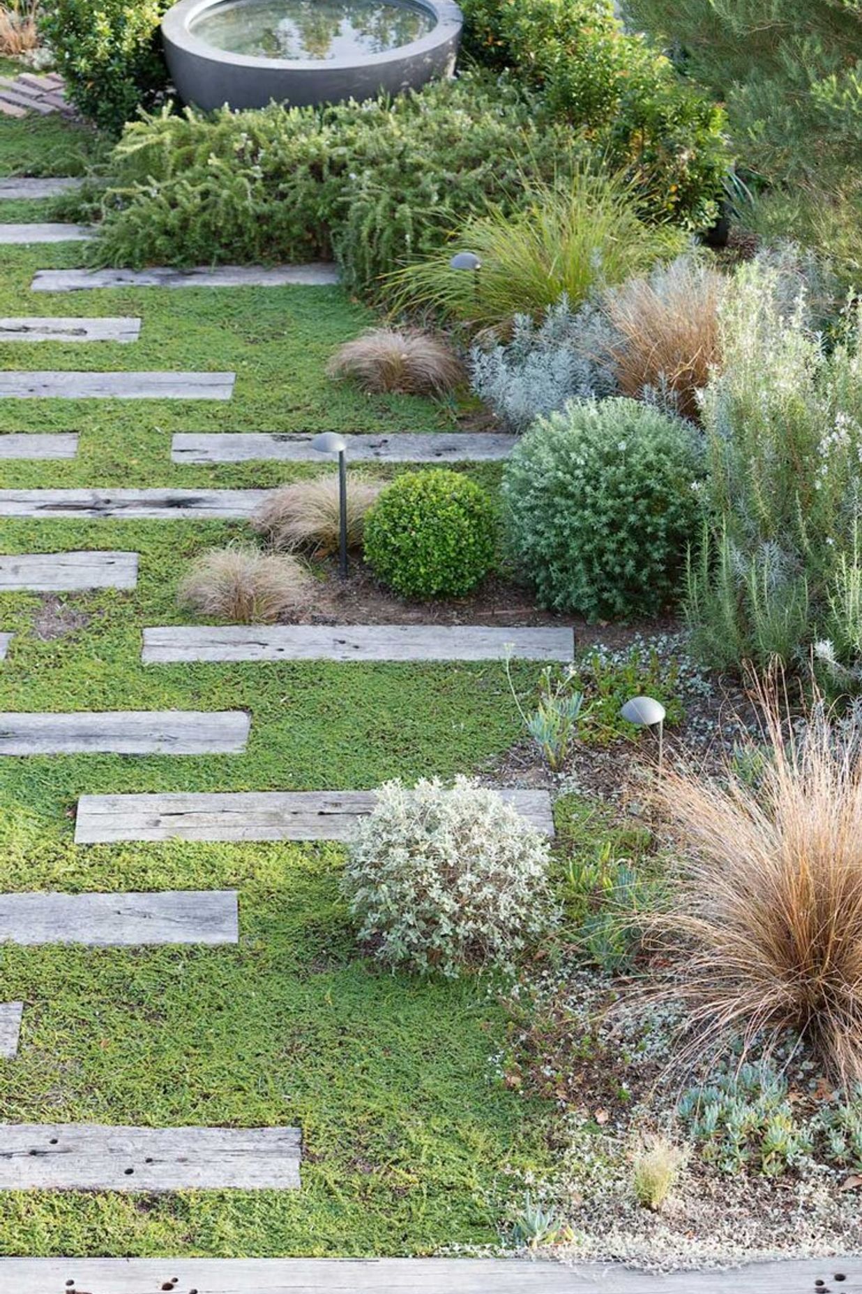 Rozelle - Rooftop Garden