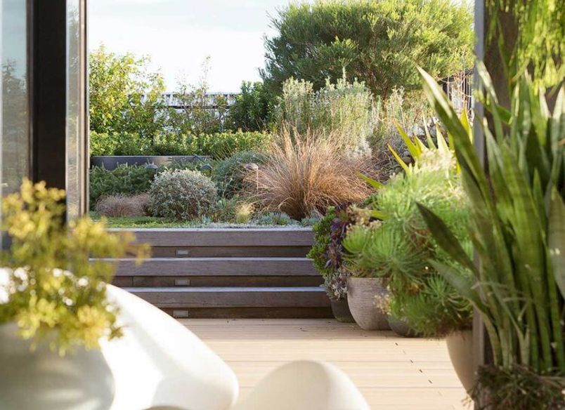 Rozelle - Rooftop Garden
