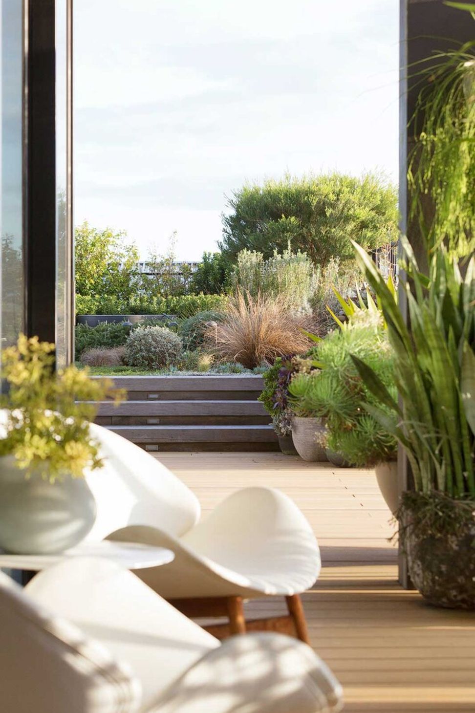 Rozelle - Rooftop Garden
