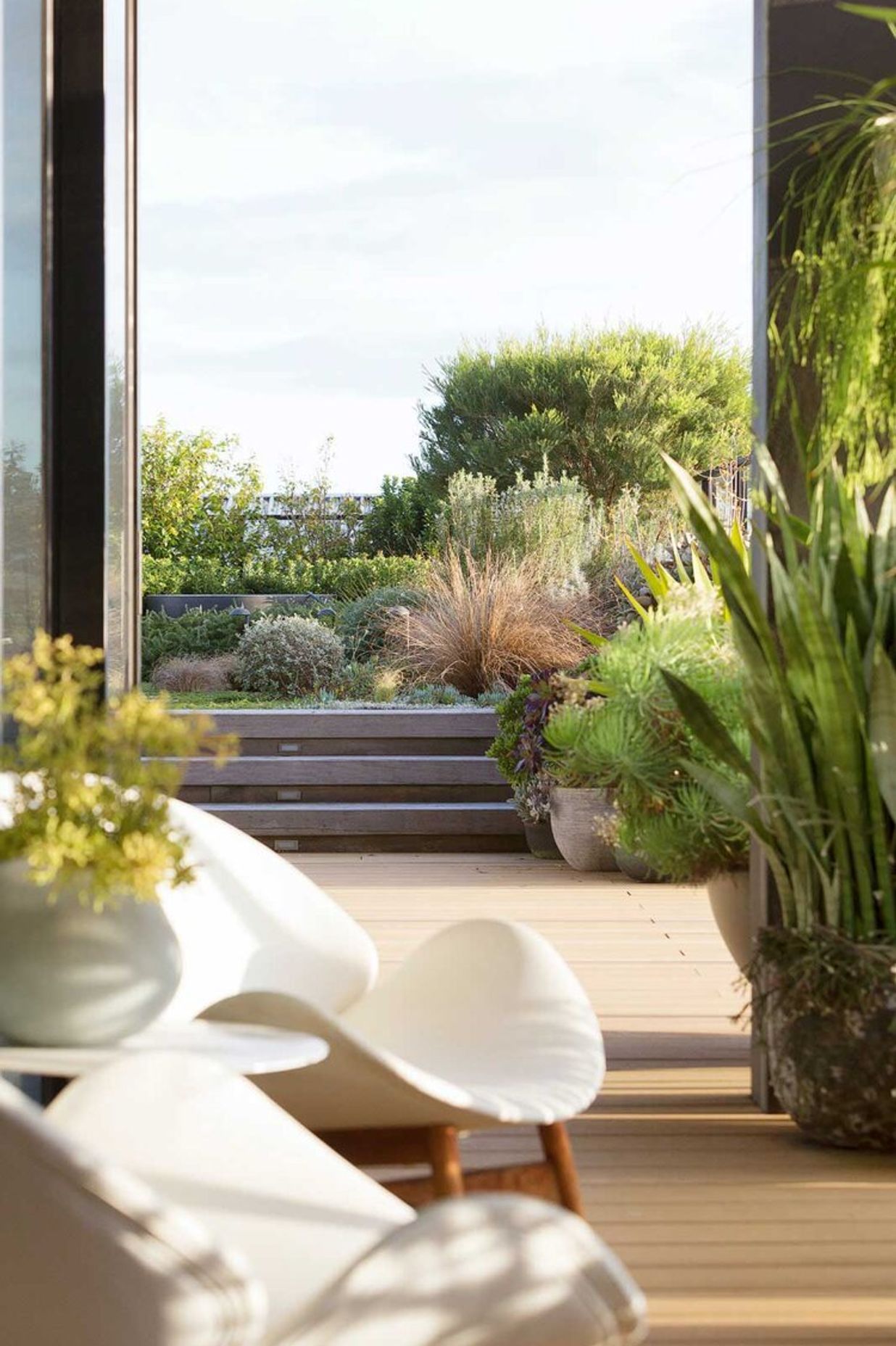 Rozelle - Rooftop Garden