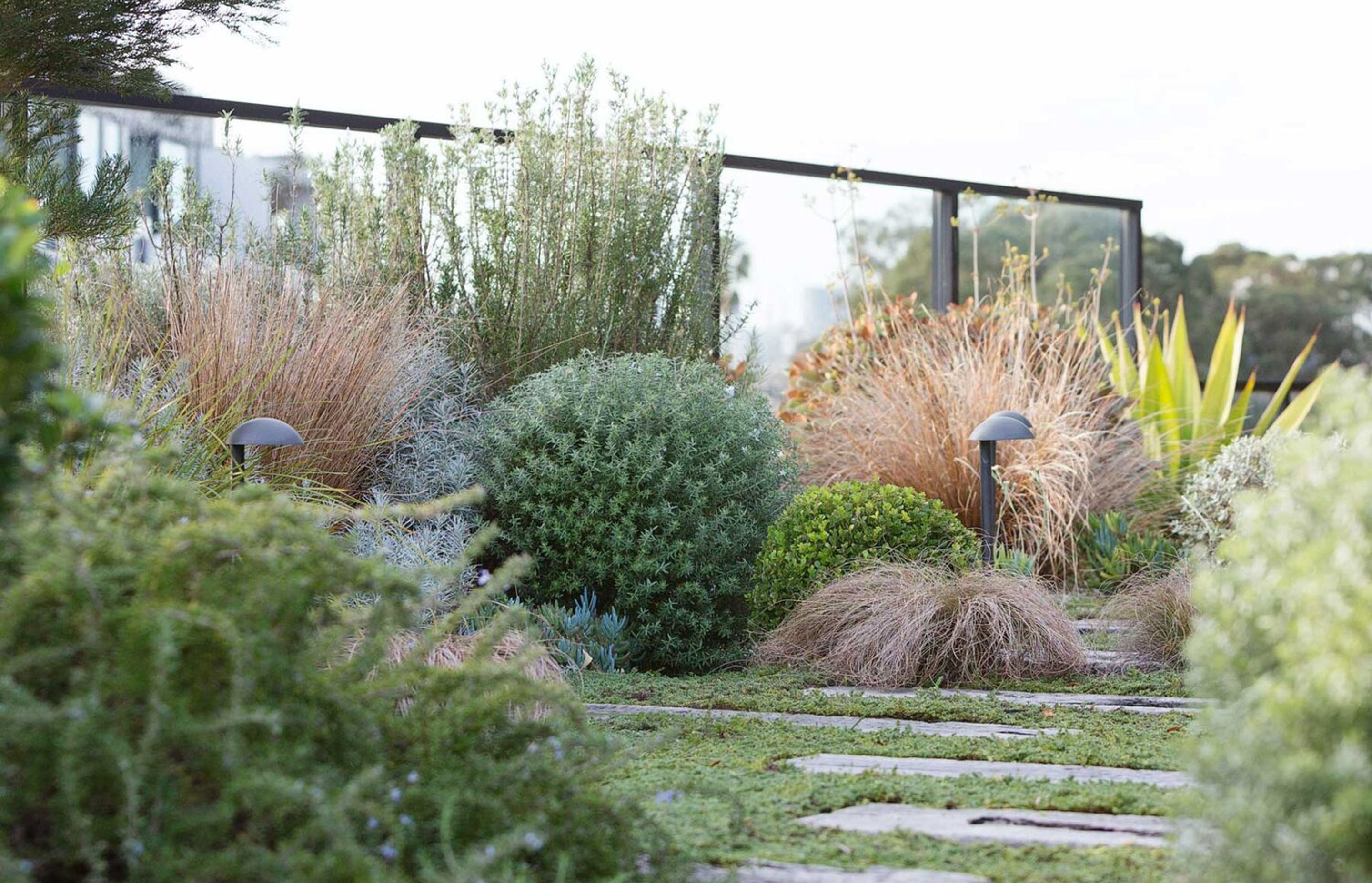 Rozelle - Rooftop Garden