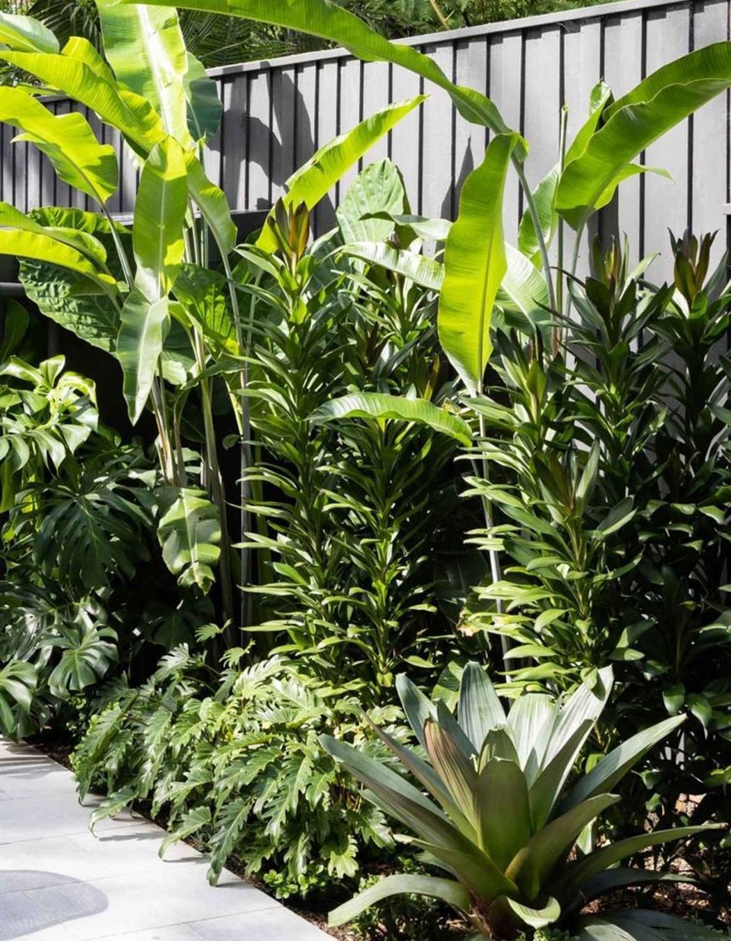 Rozelle - Garden