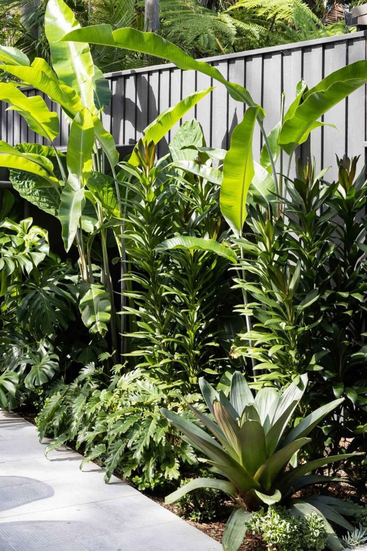 Rozelle - Garden