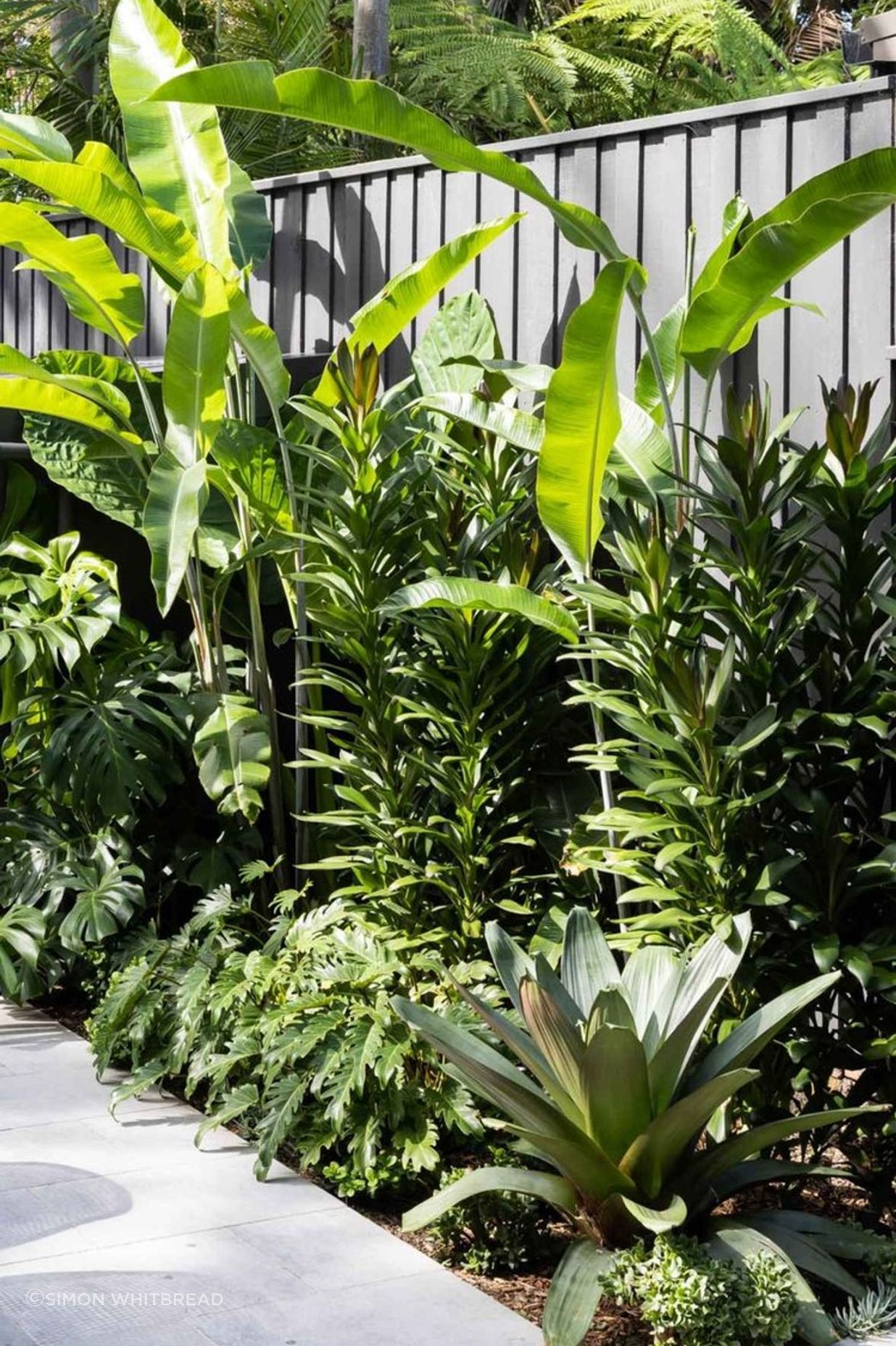 Rozelle - Garden