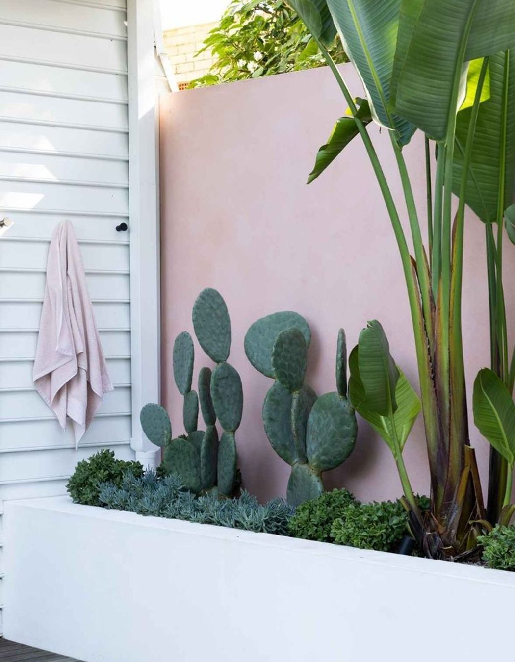 Rozelle - Garden
