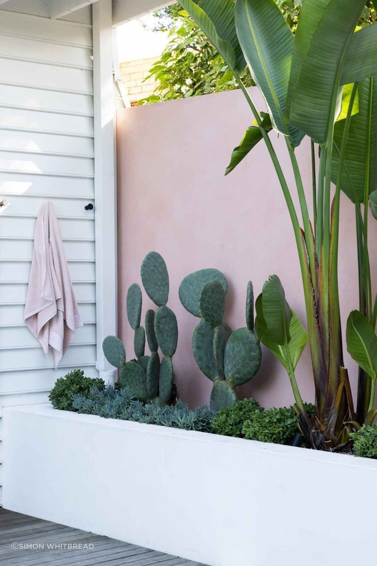 Rozelle - Garden