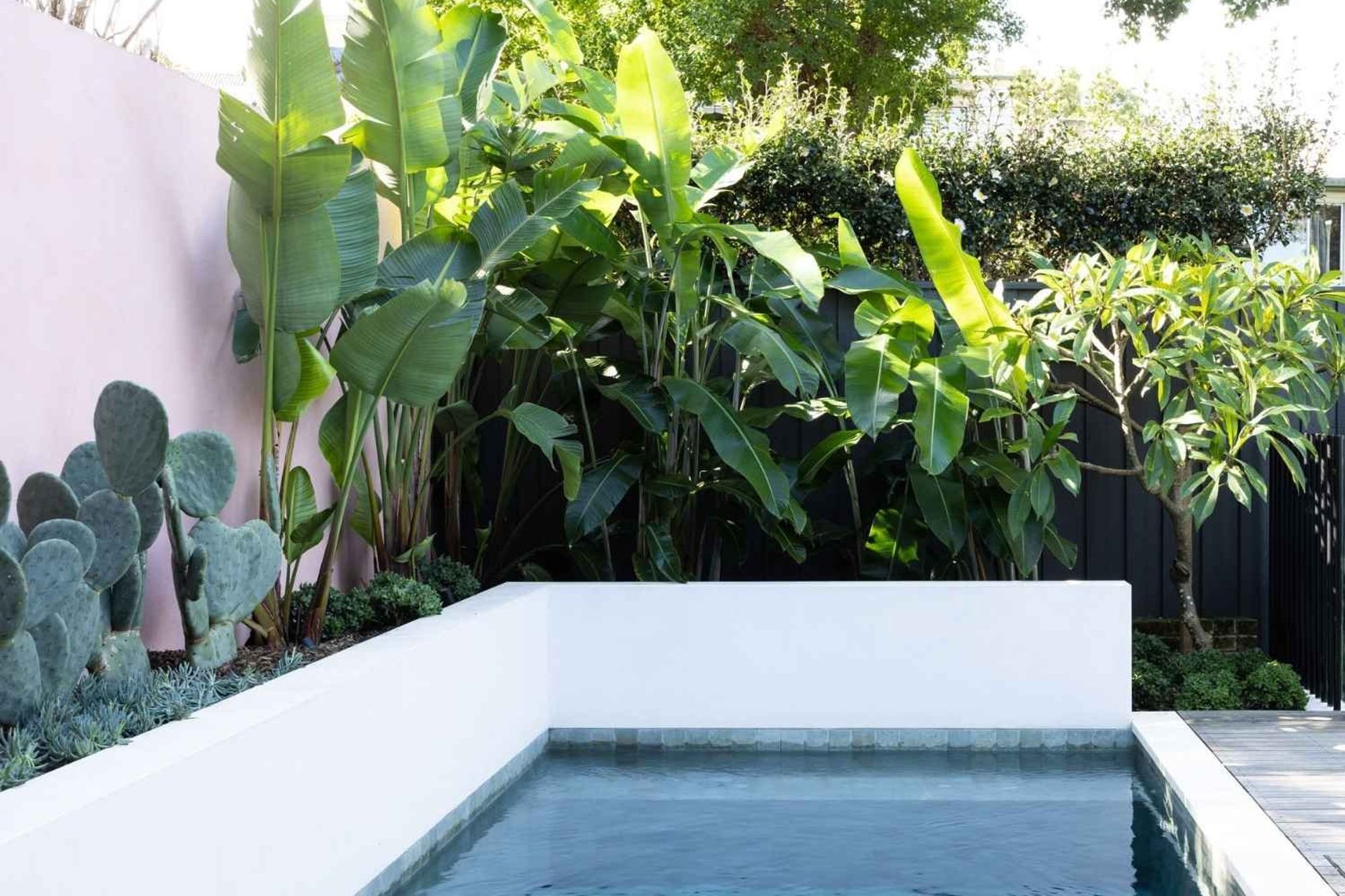 Rozelle - Garden