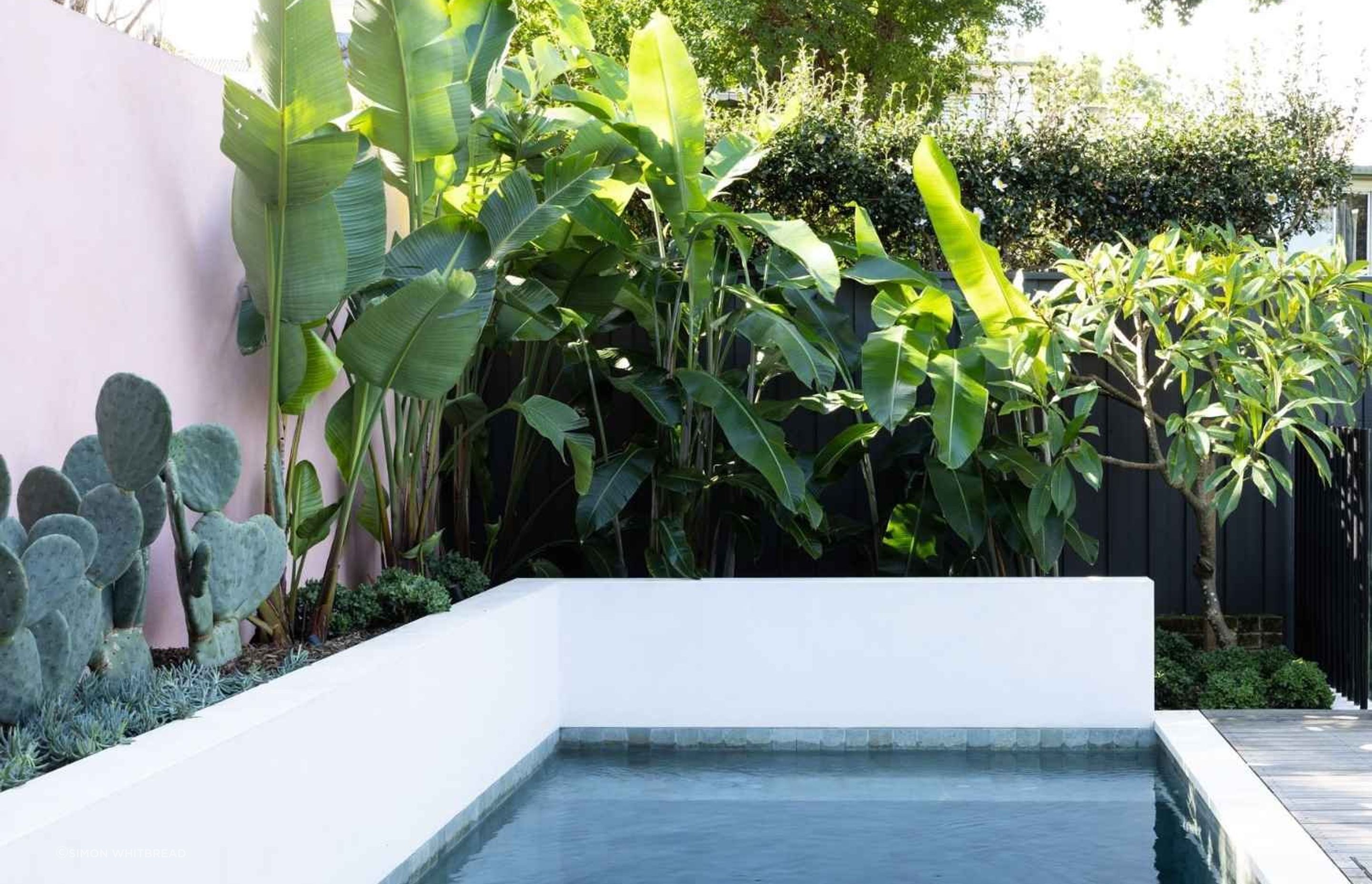 Rozelle - Garden