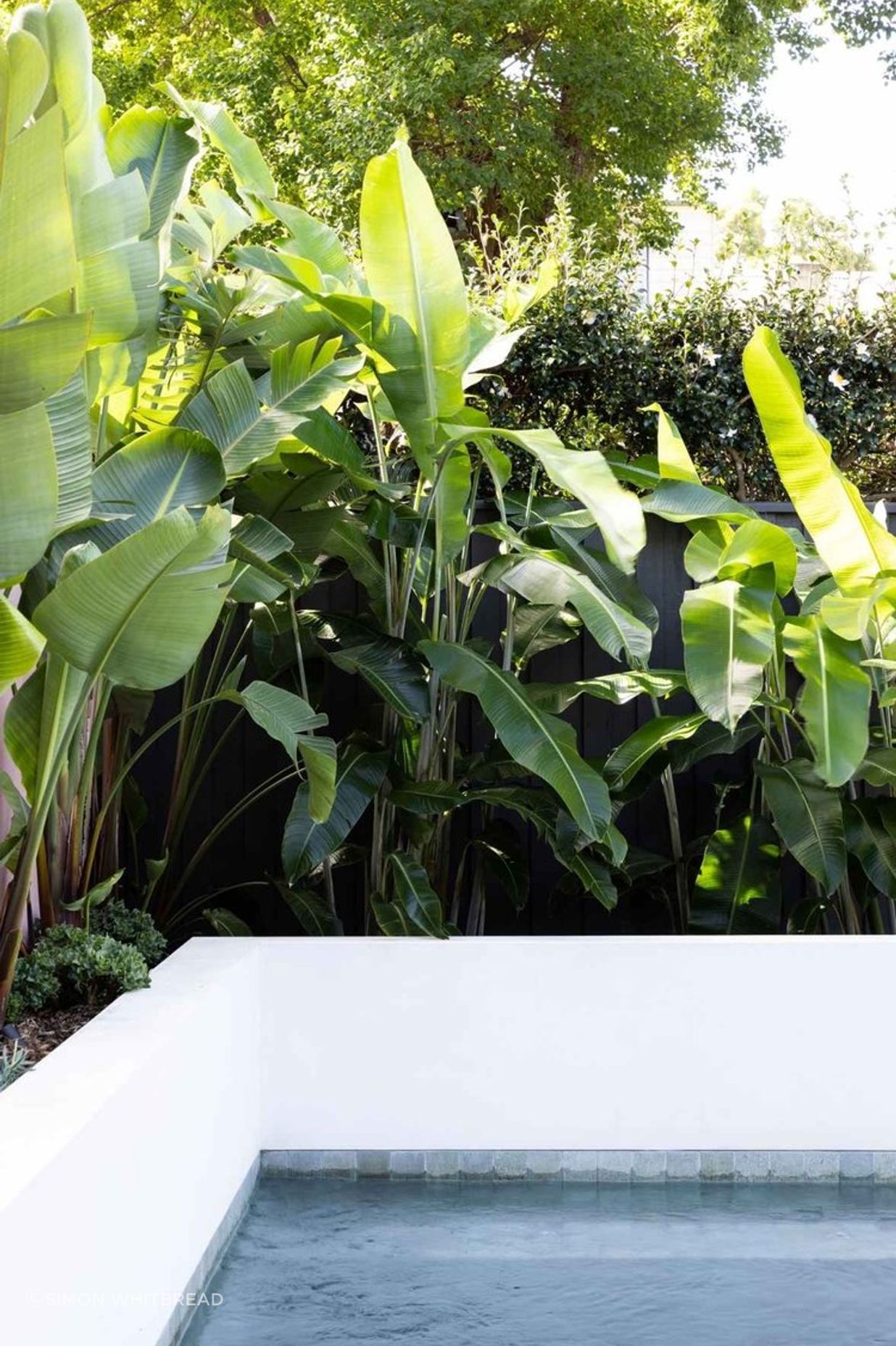 Rozelle - Garden