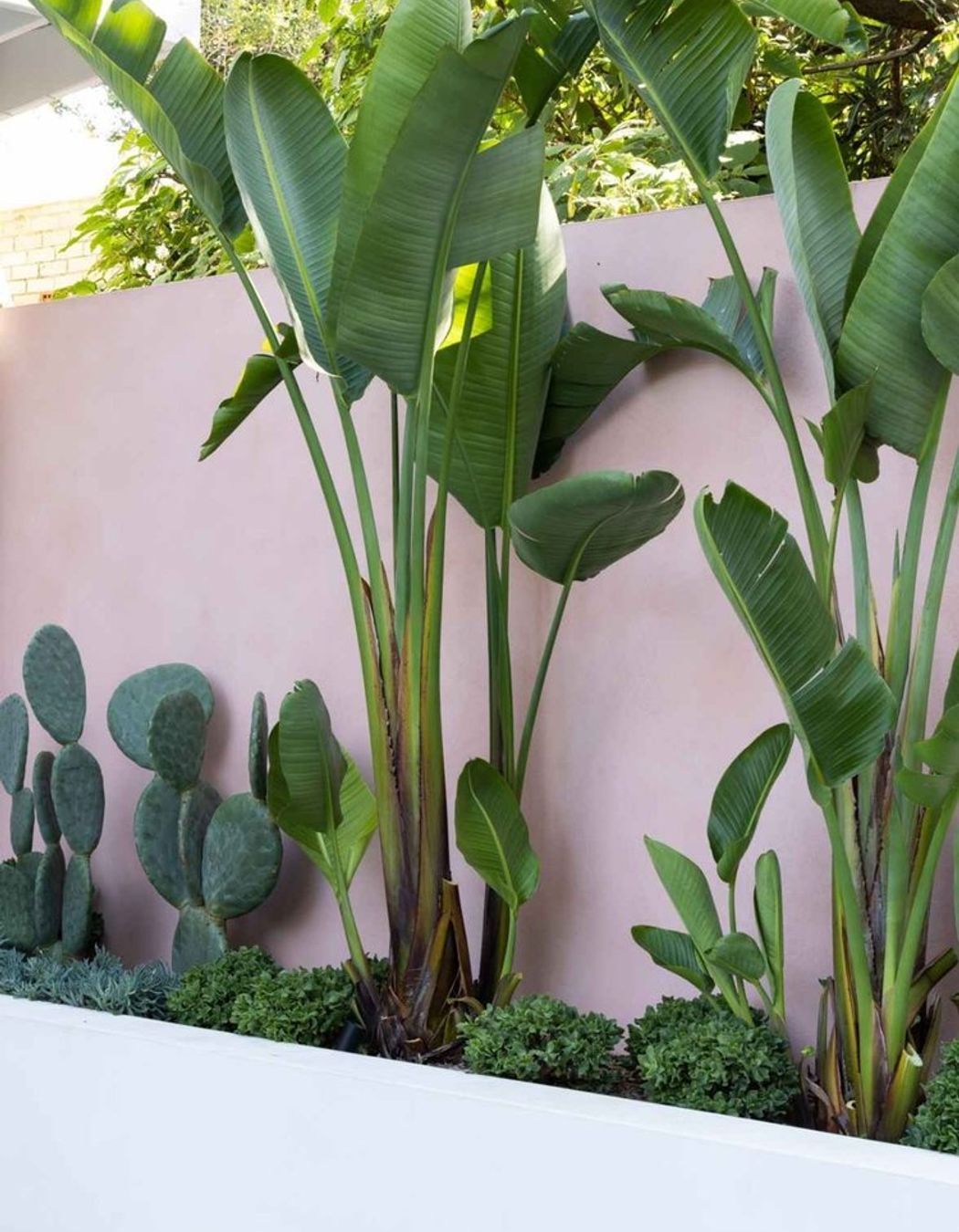 Rozelle - Garden