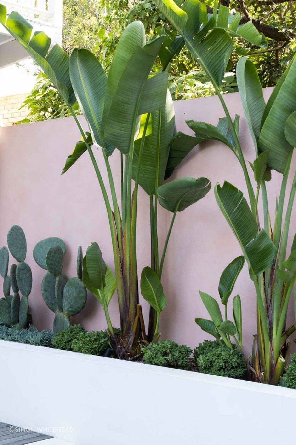 Rozelle - Garden