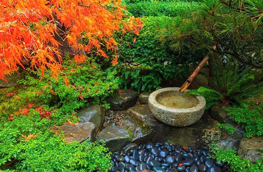 Japanese Gardens