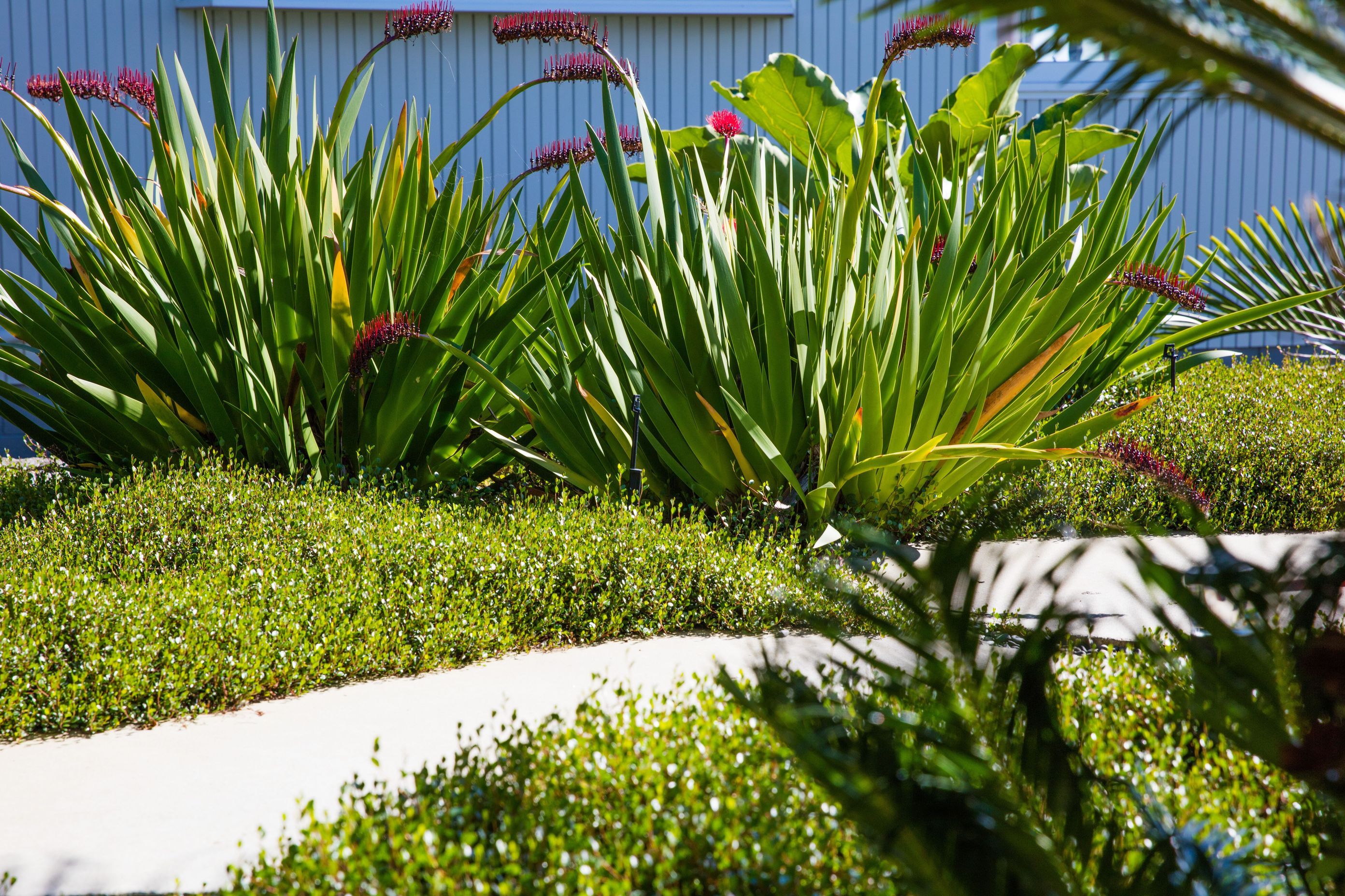 Contemporary Entrance, Hillcrest
