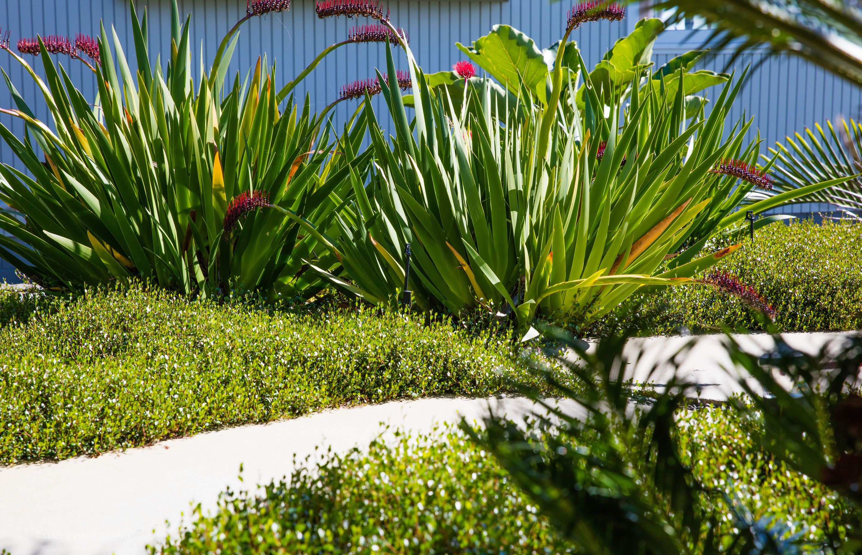 Contemporary Entrance, Hillcrest